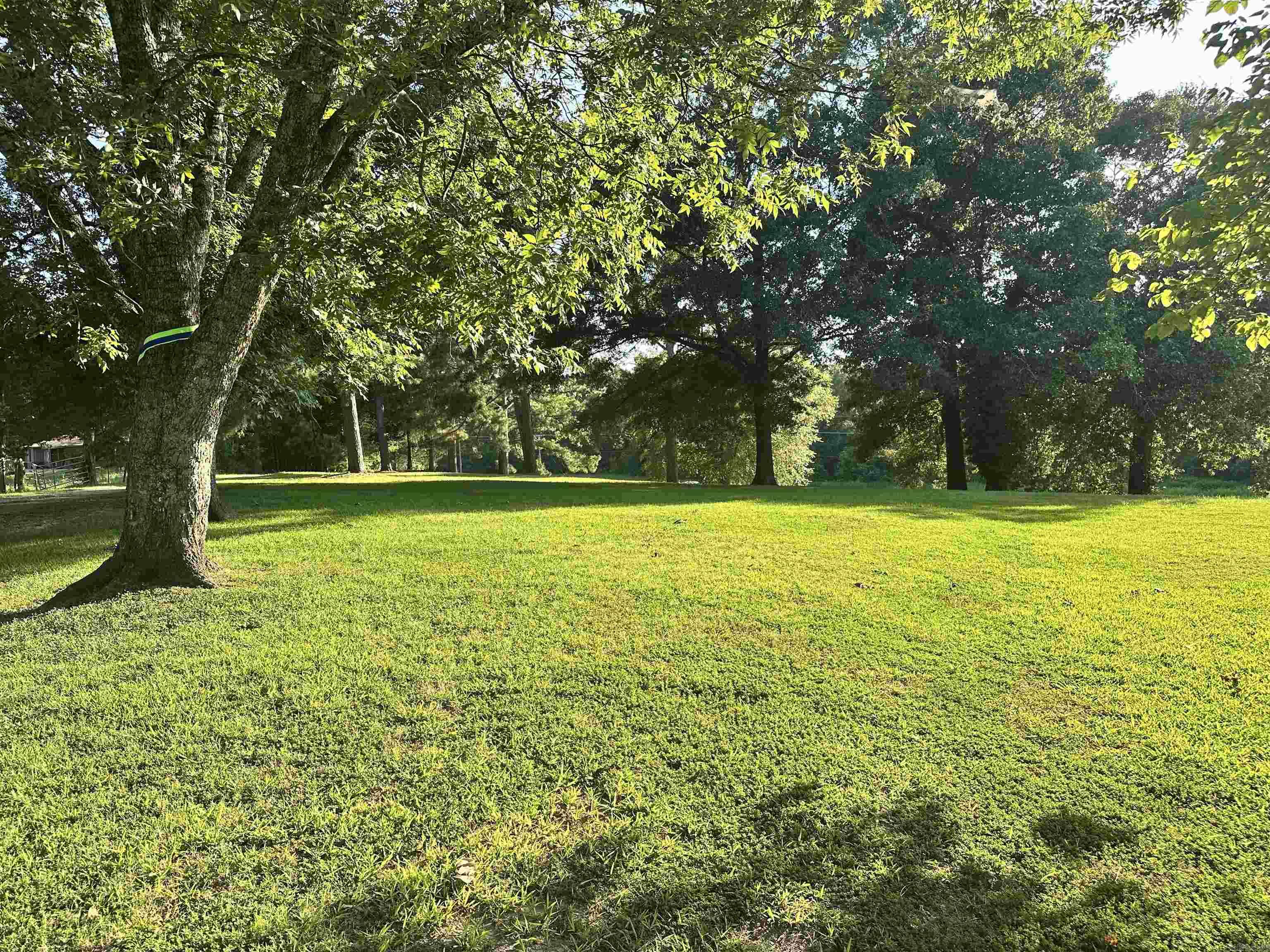 6416 Hwy 1 N Property Photo 10