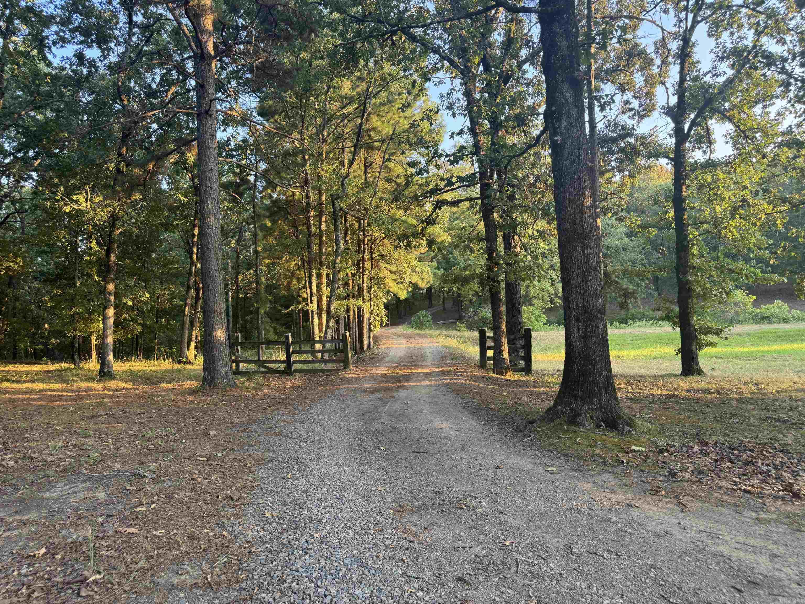 56 Brandon Property Photo 29