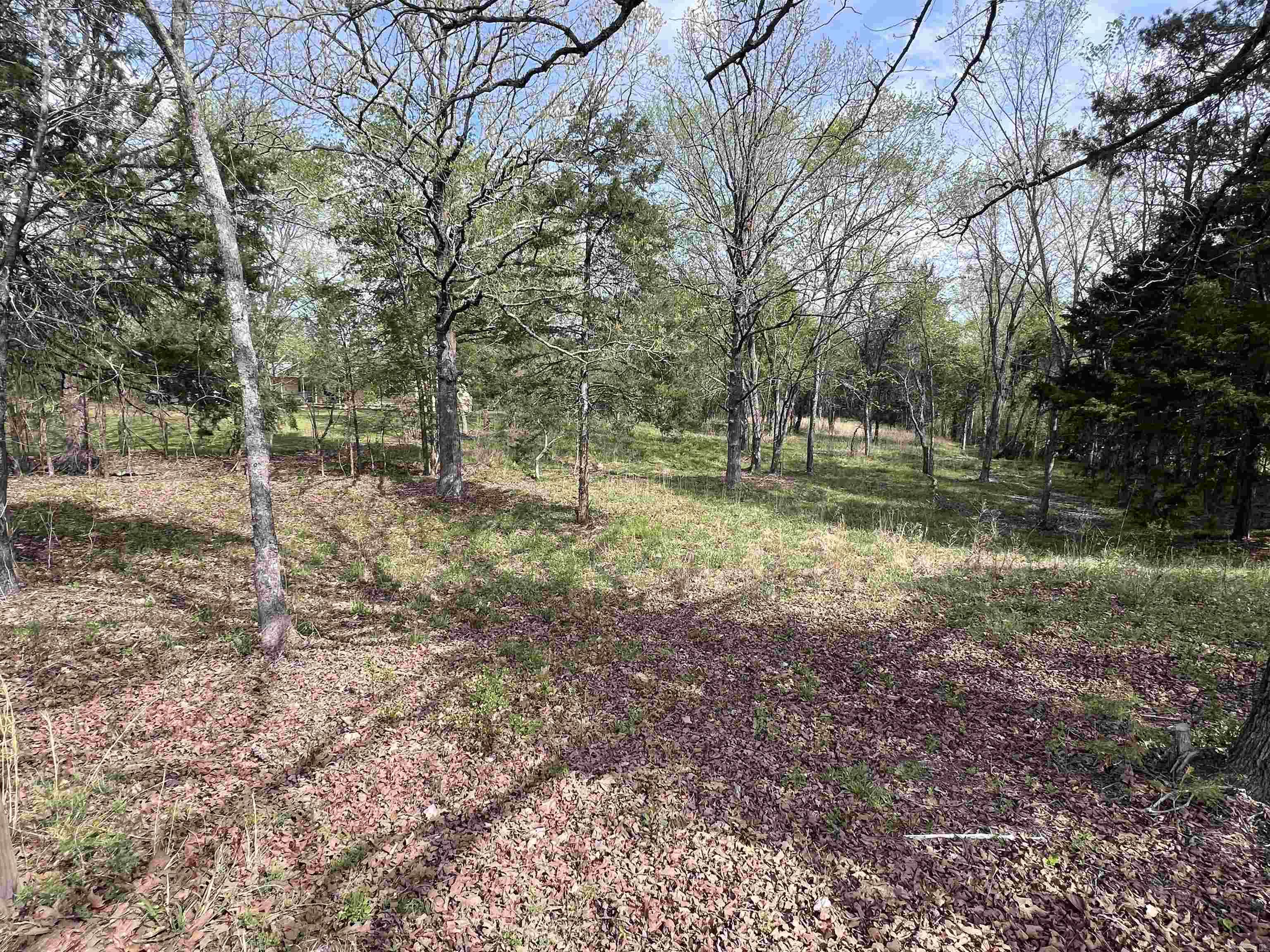 0 Burlingame Road Property Photo 1