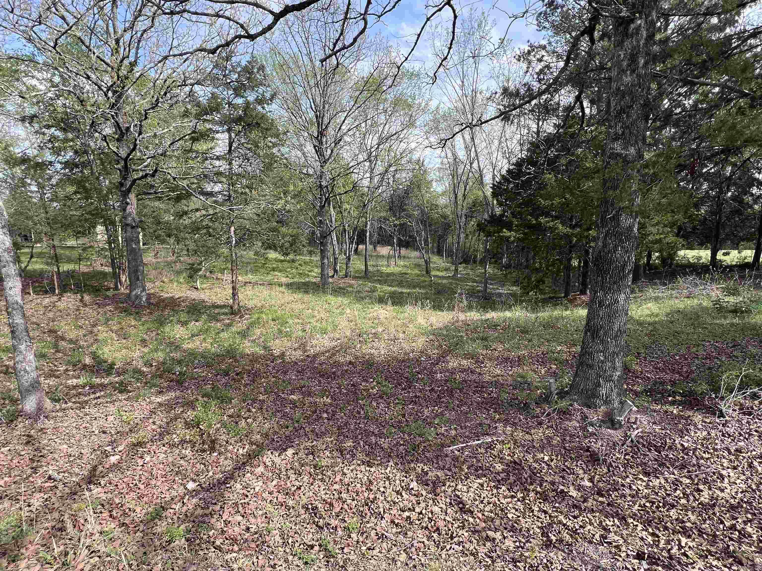 0 Burlingame Road Property Photo 3