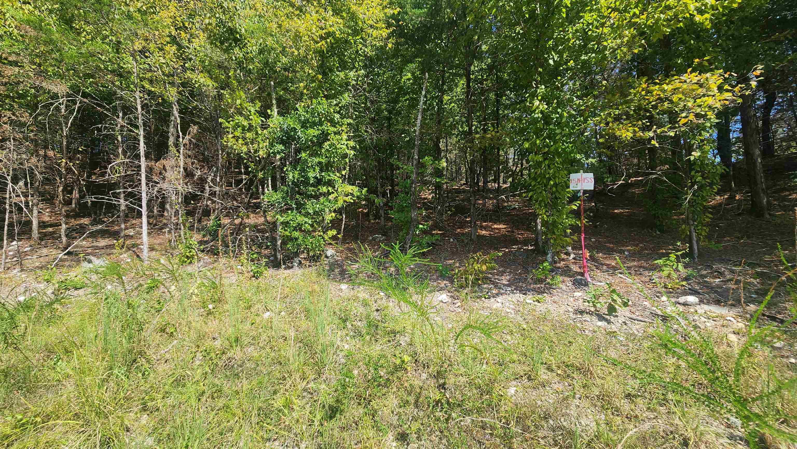 Tract B Lot 15n Reva's Way Property Photo 4