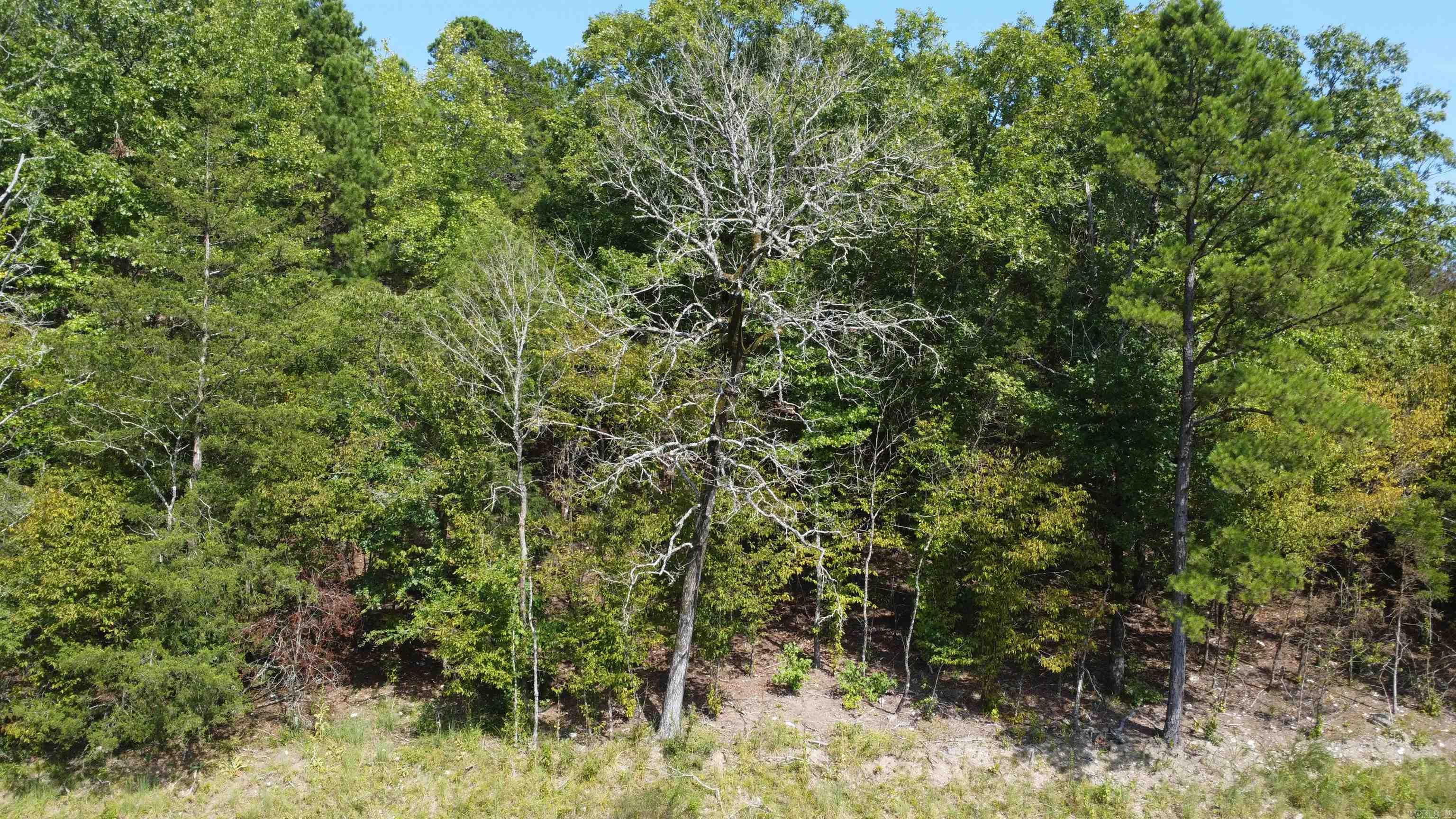 Tract B Lot 15n Reva's Way Property Photo 6