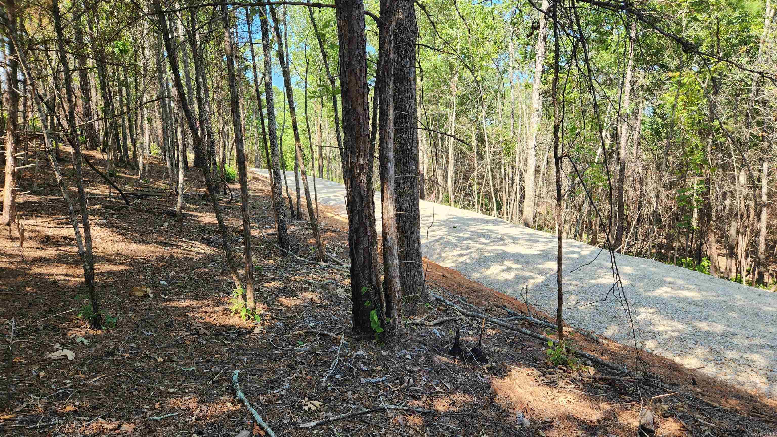 Tract B Lot 15n Reva's Way Property Photo 10