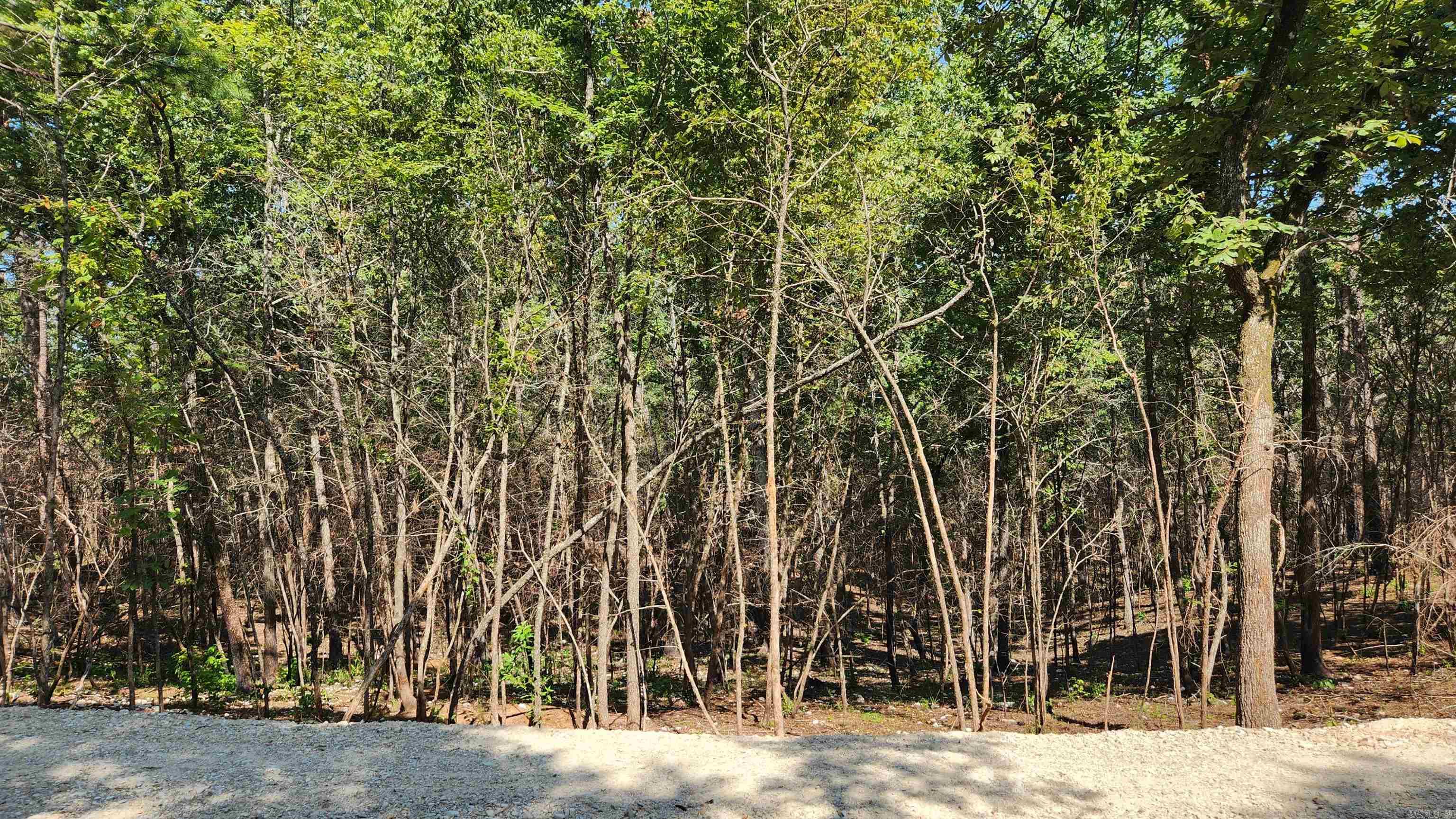 Tract B Lot 15n Reva's Way Property Photo 12