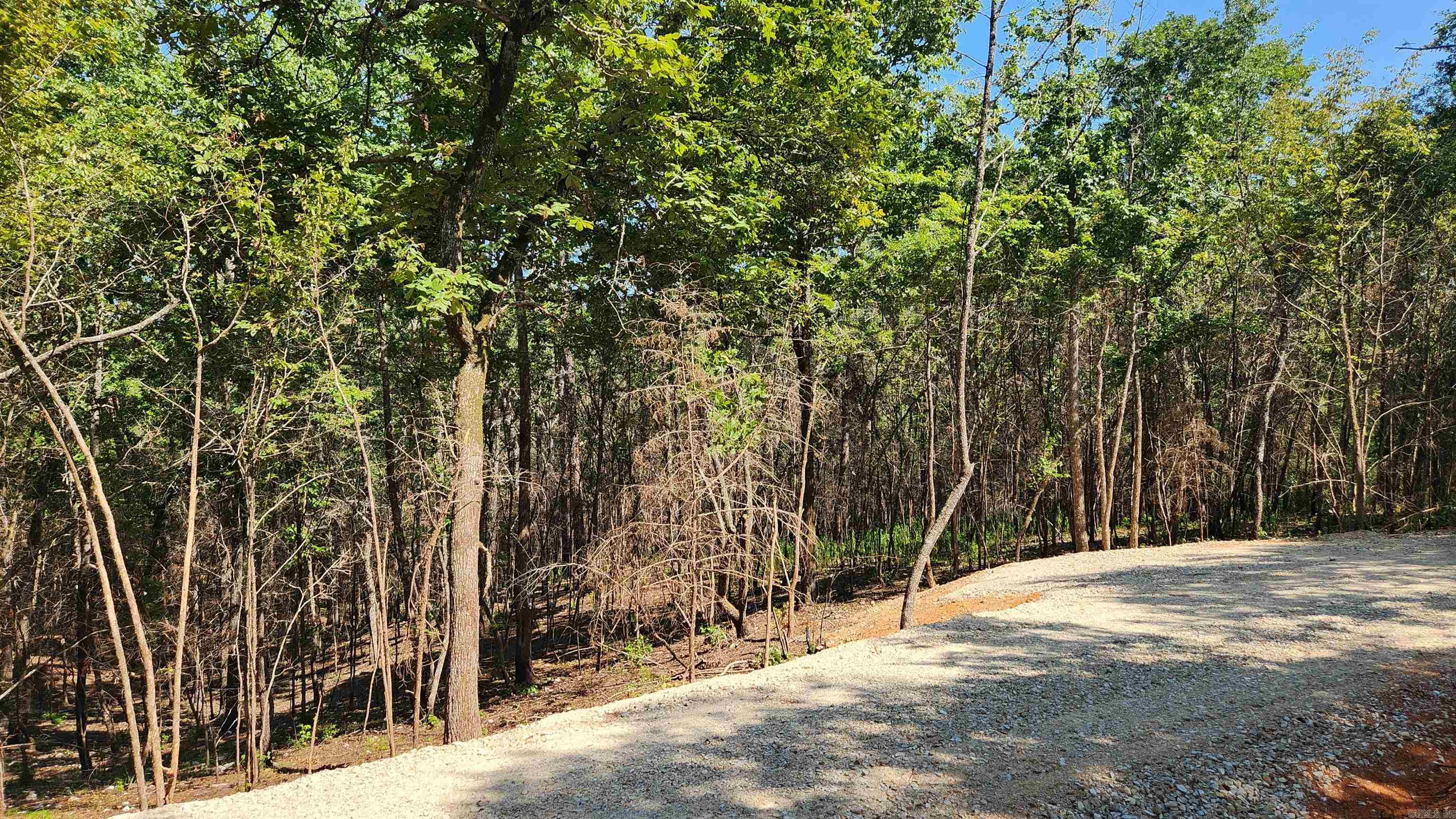 Tract B Lot 15n Reva's Way Property Photo 13