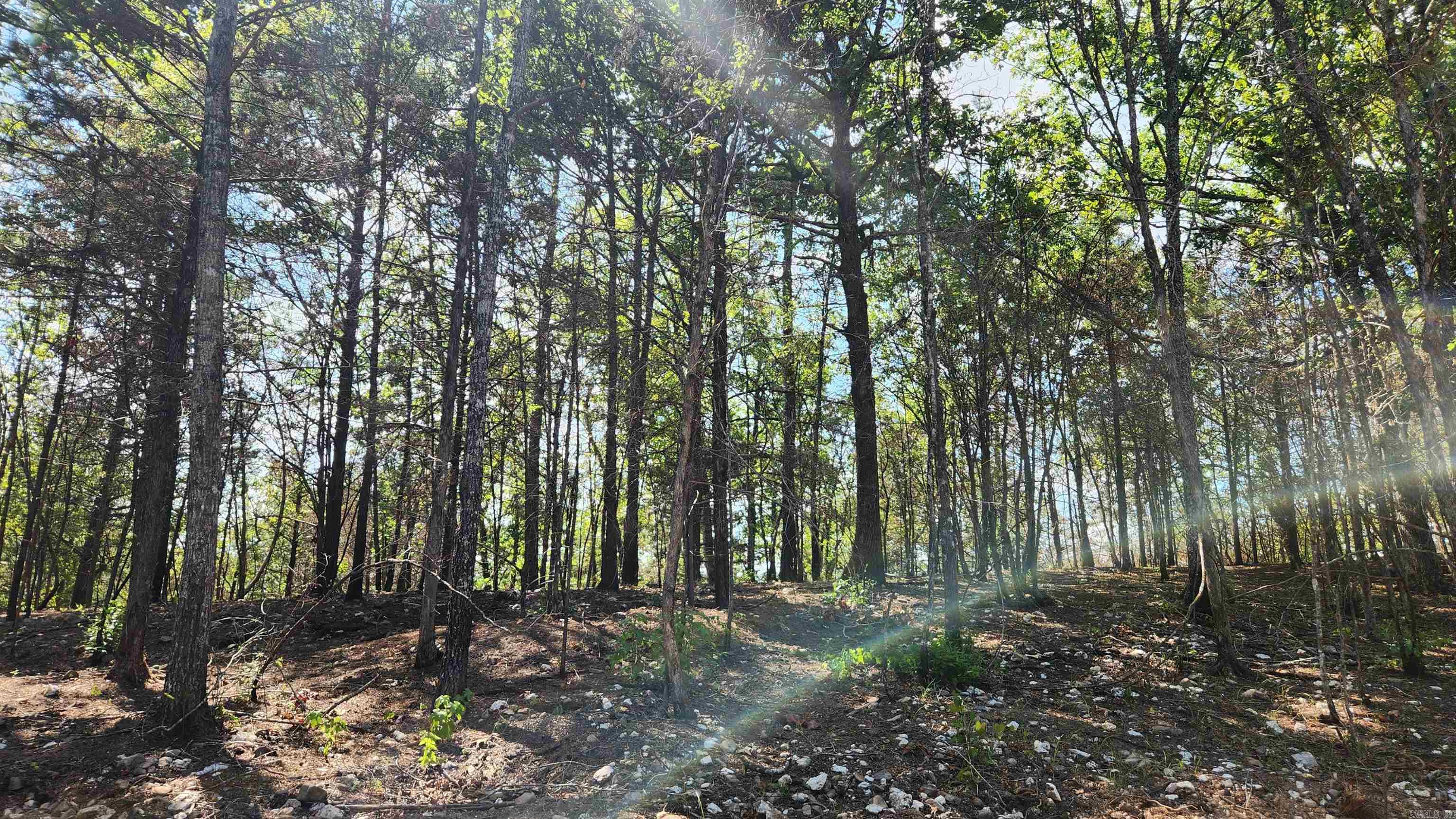 Tract B Lot 15n Reva's Way Property Photo 14
