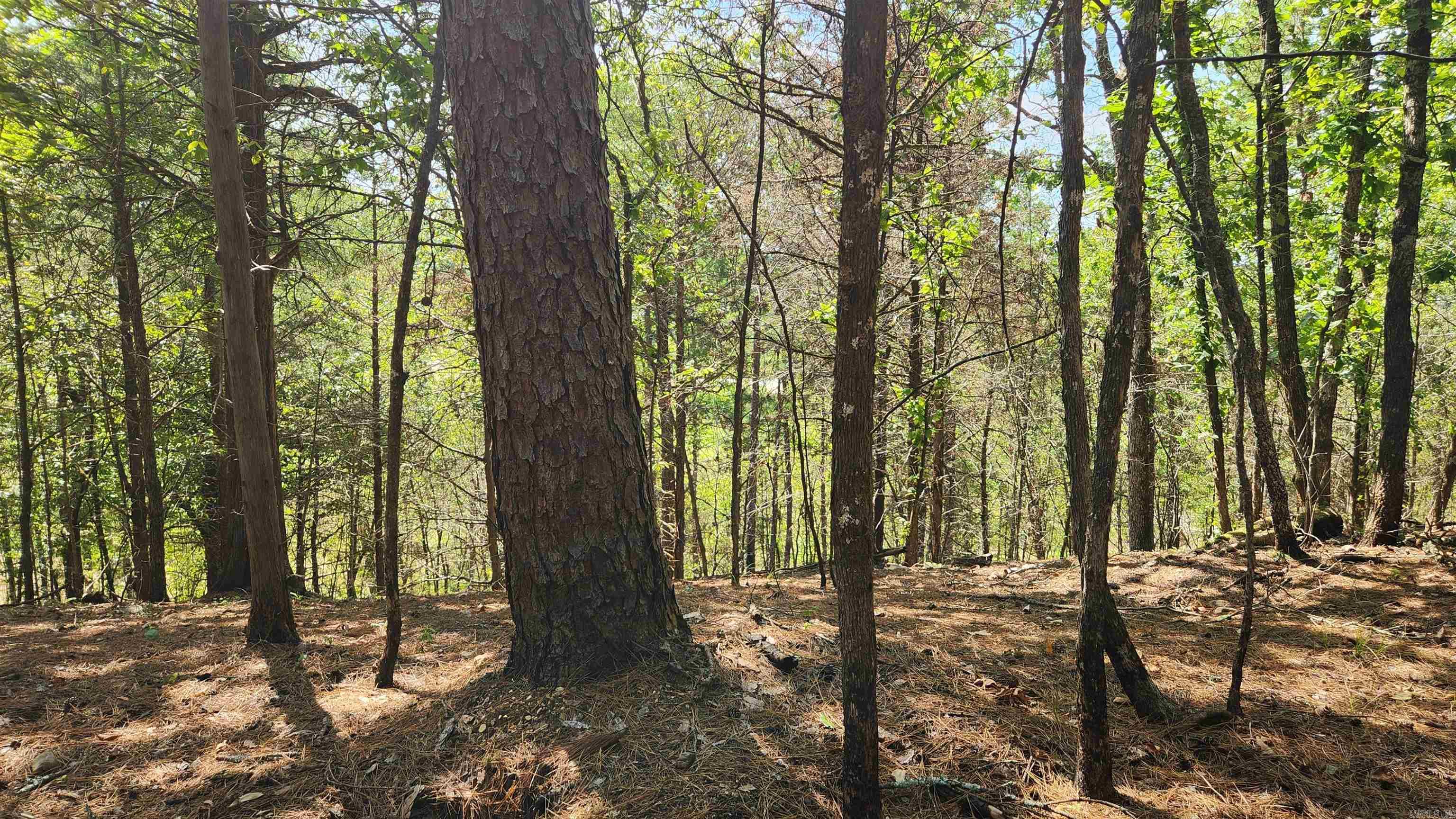 Tract B Lot 15n Reva's Way Property Photo 16