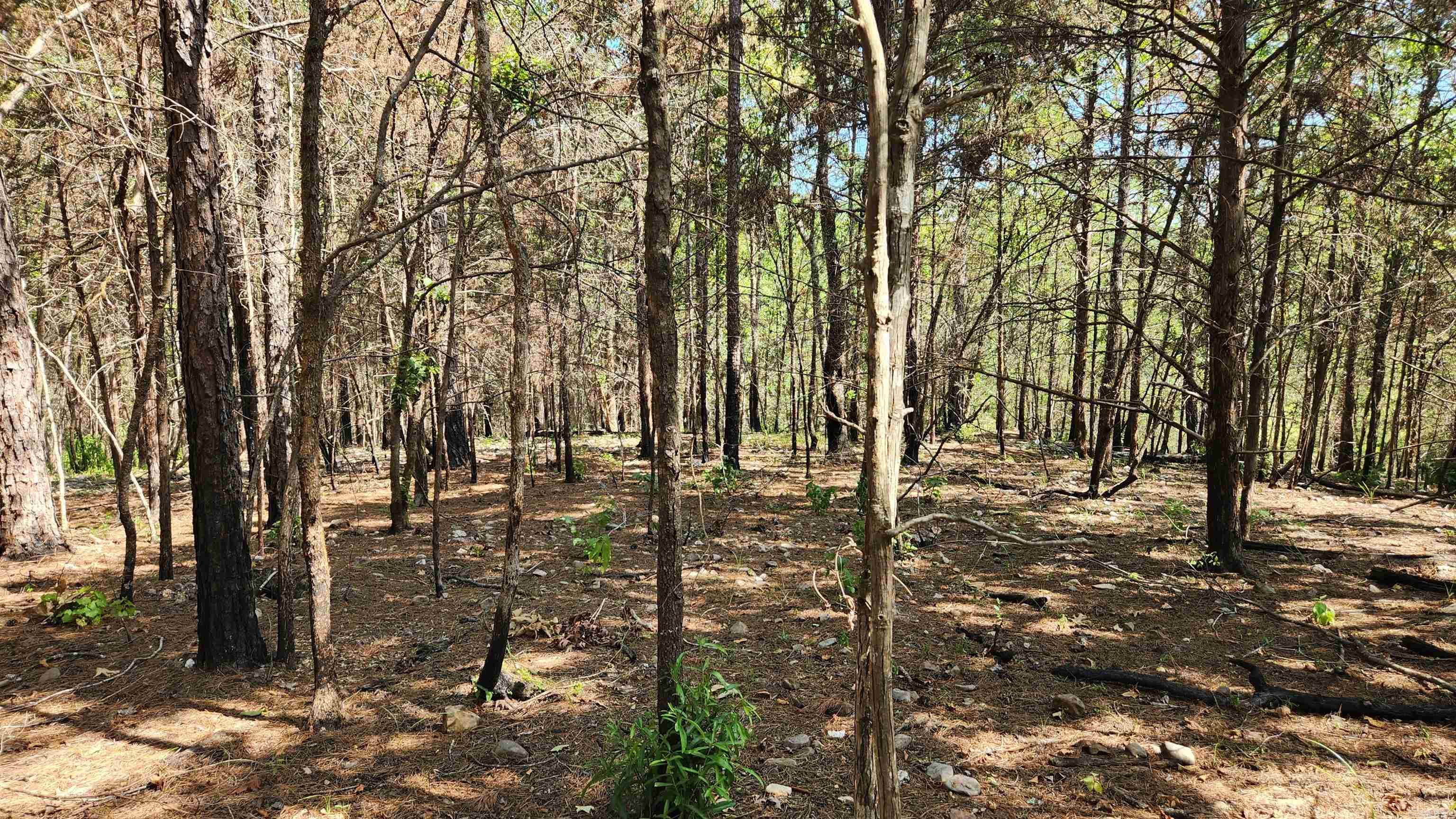 Tract B Lot 15n Reva's Way Property Photo 17