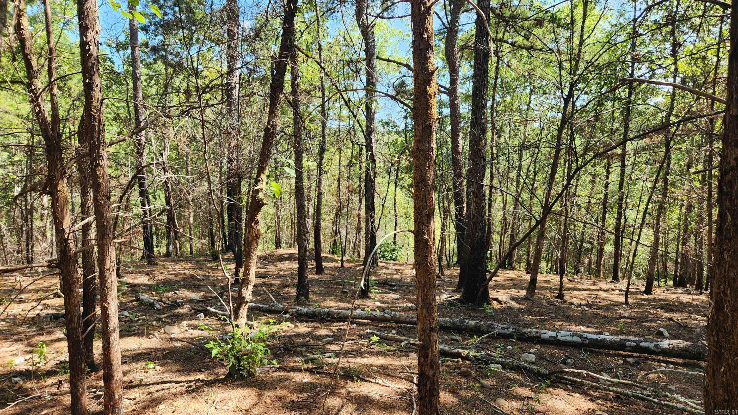 Tract B Lot 15n Reva's Way Property Photo 20