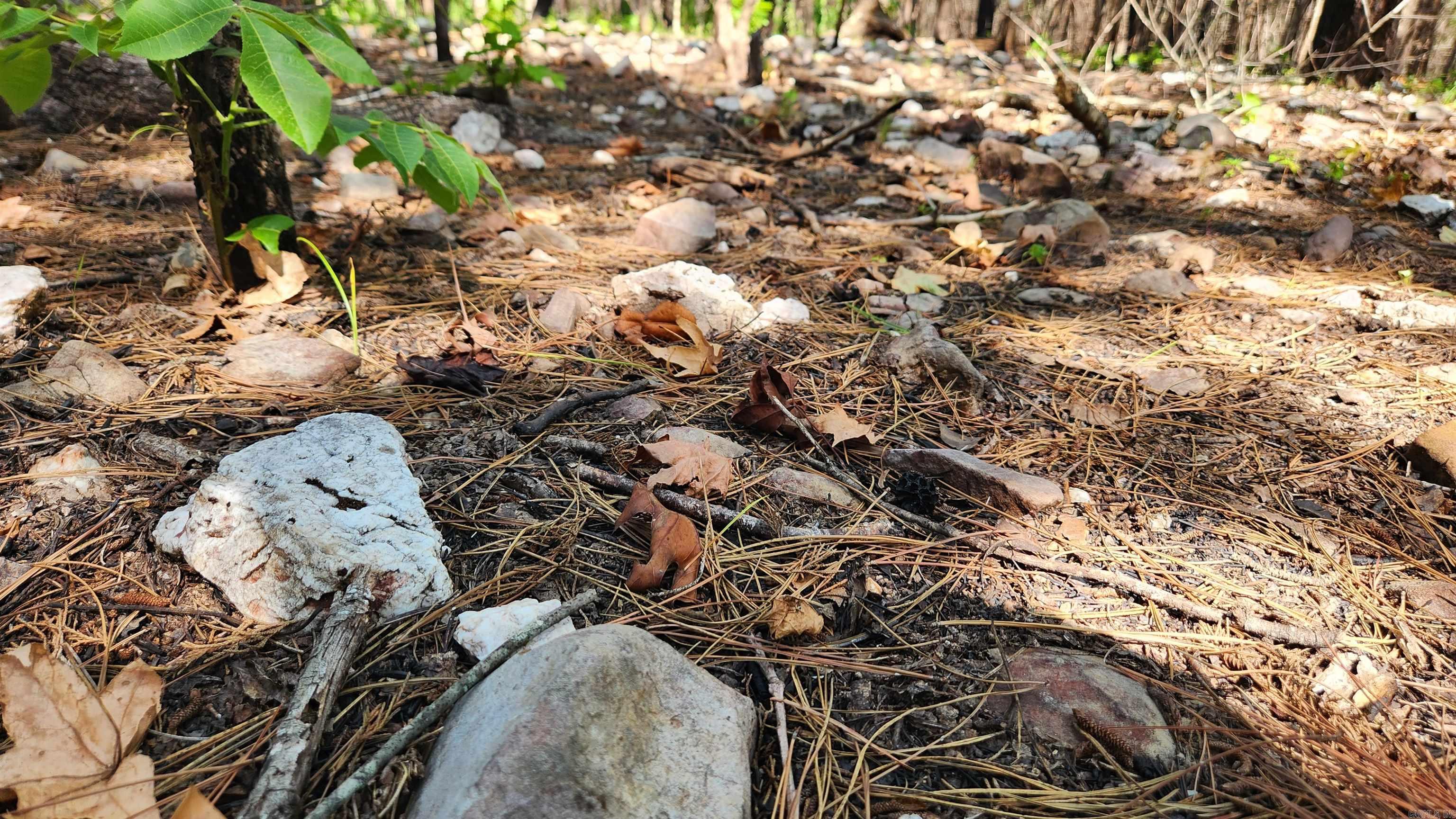 Tract B Lot 15n Reva's Way Property Photo 21