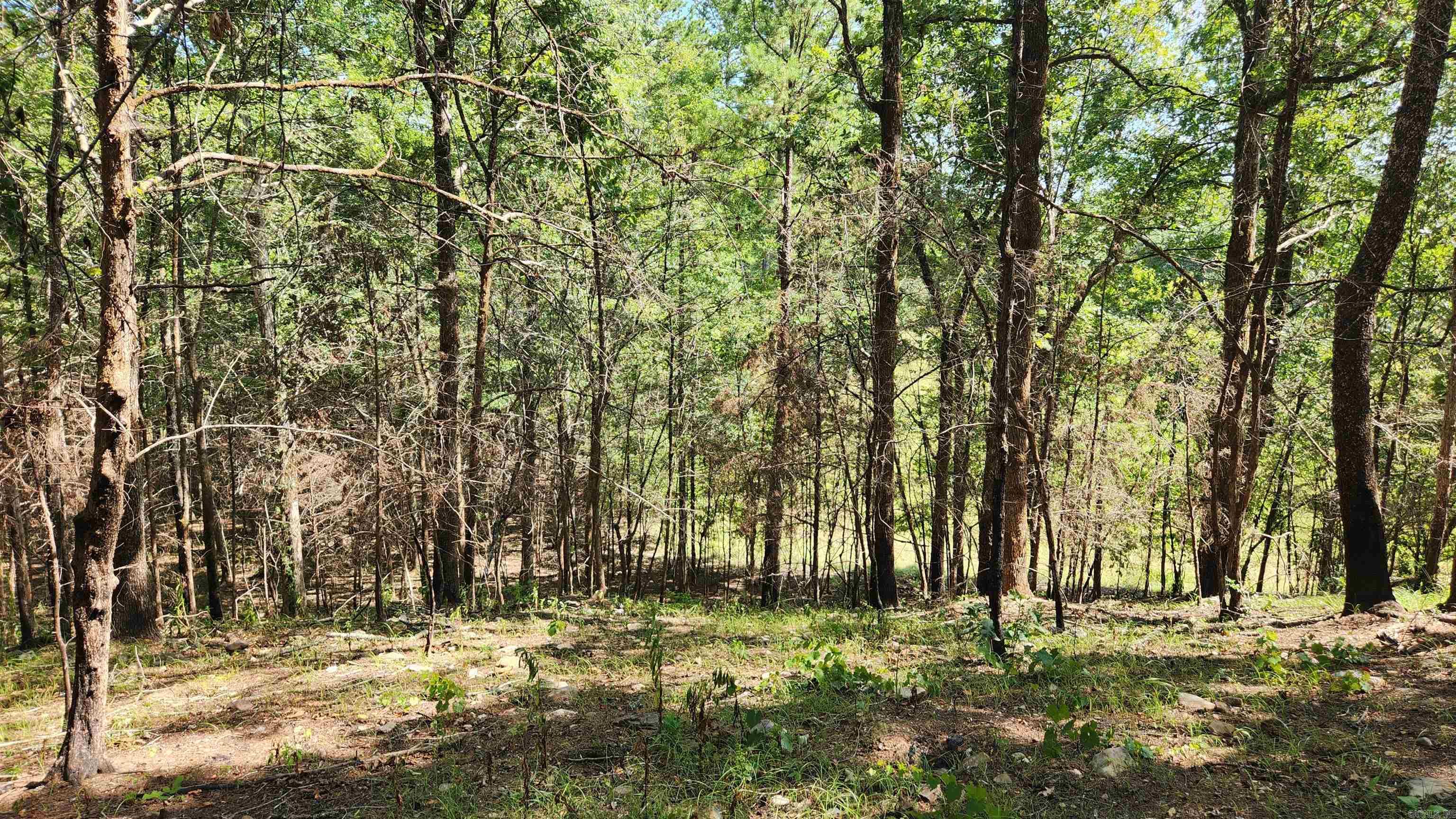 Tract B Lot 15n Reva's Way Property Photo 22