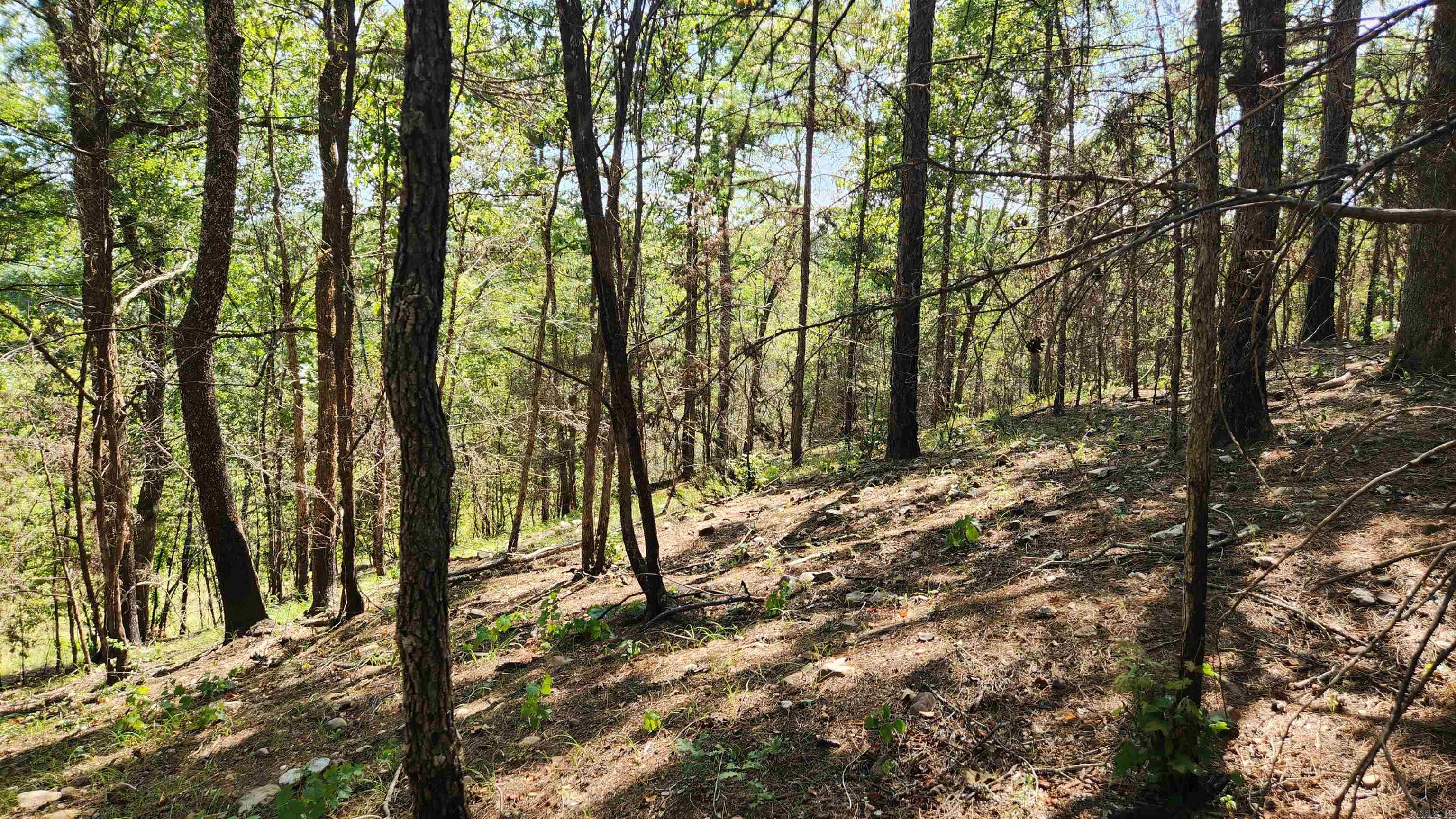 Tract B Lot 15n Reva's Way Property Photo 23