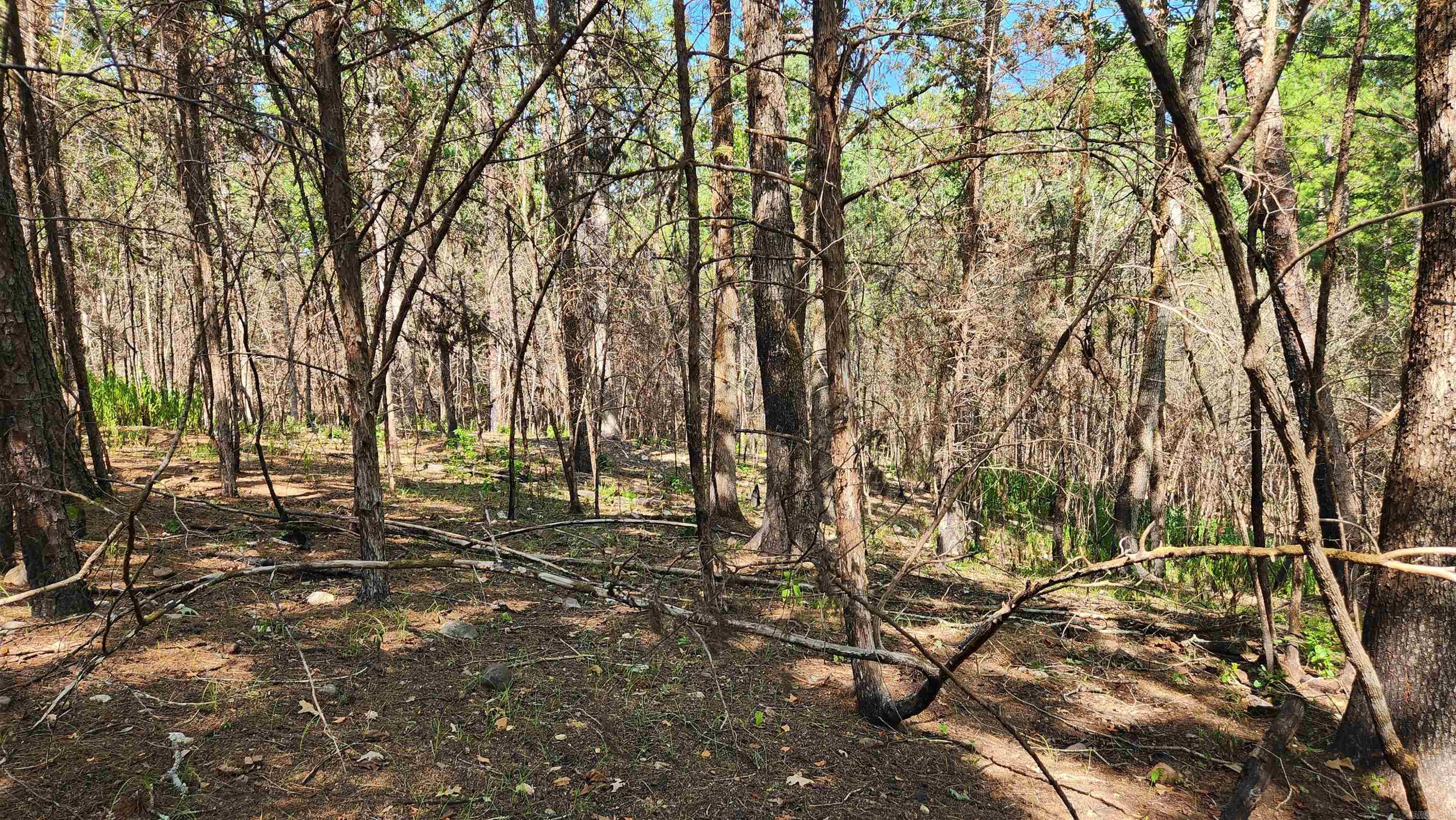 Tract B Lot 15n Reva's Way Property Photo 24