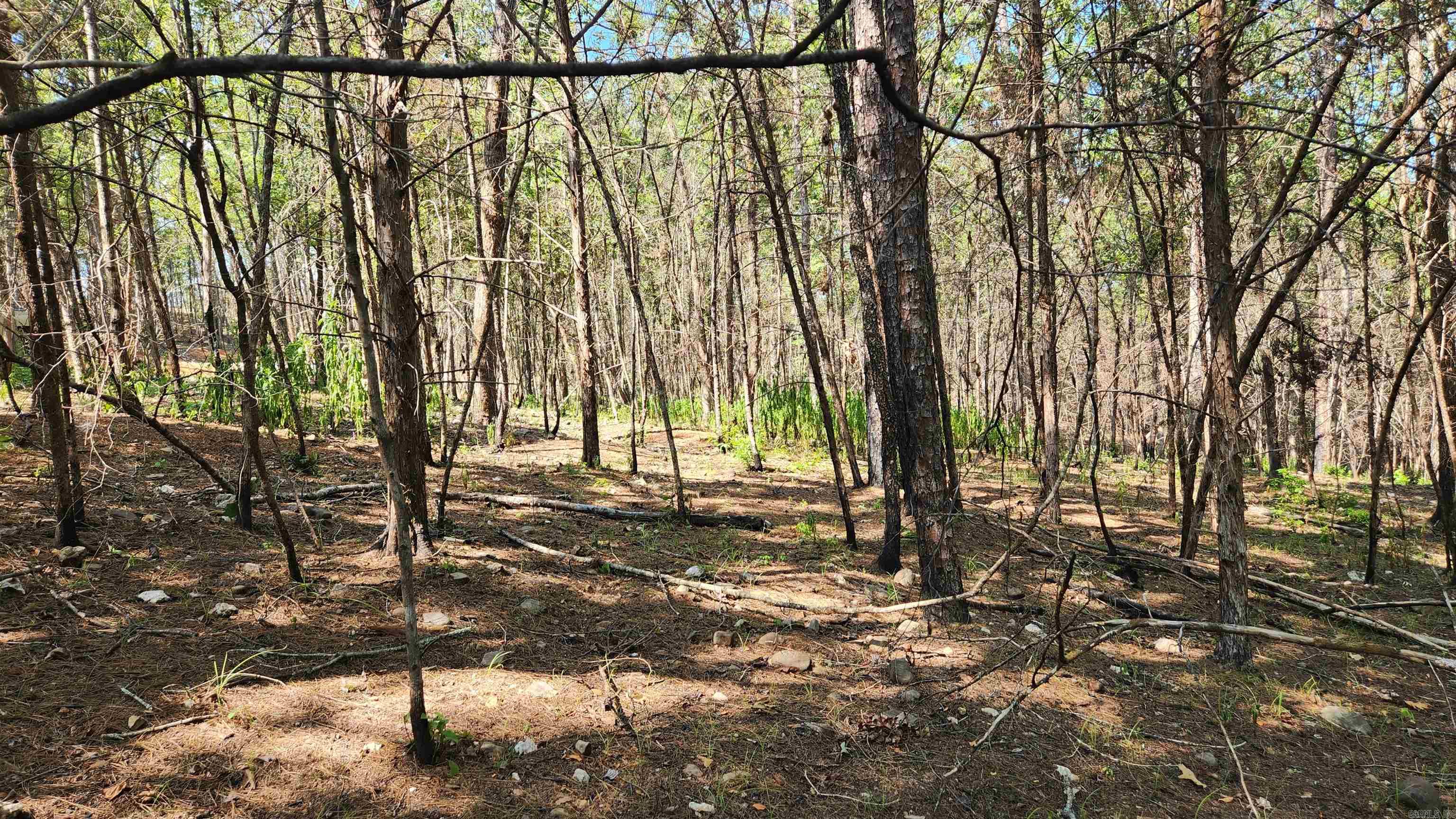Tract B Lot 15n Reva's Way Property Photo 25