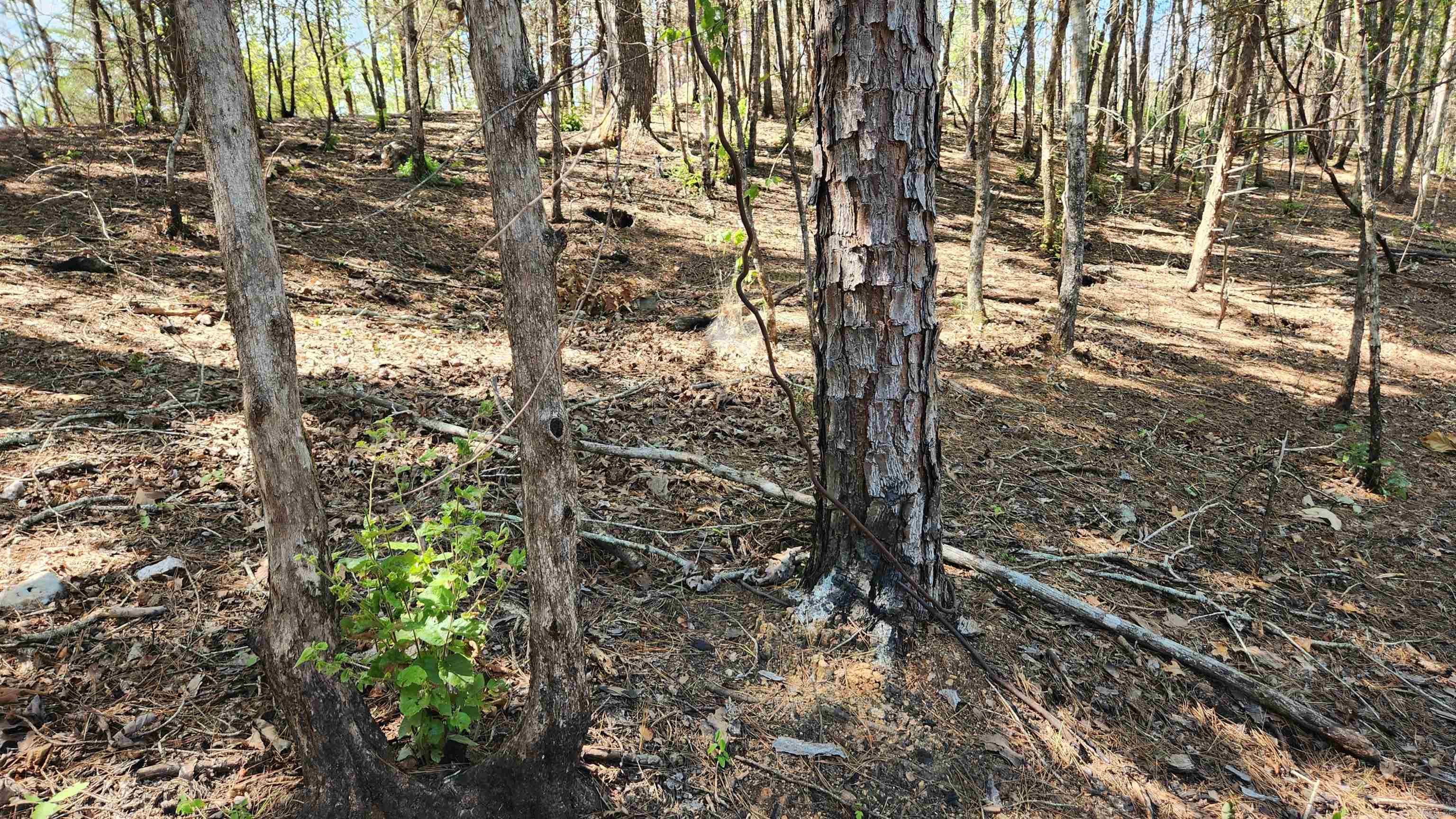 Tract B Lot 15n Reva's Way Property Photo 28
