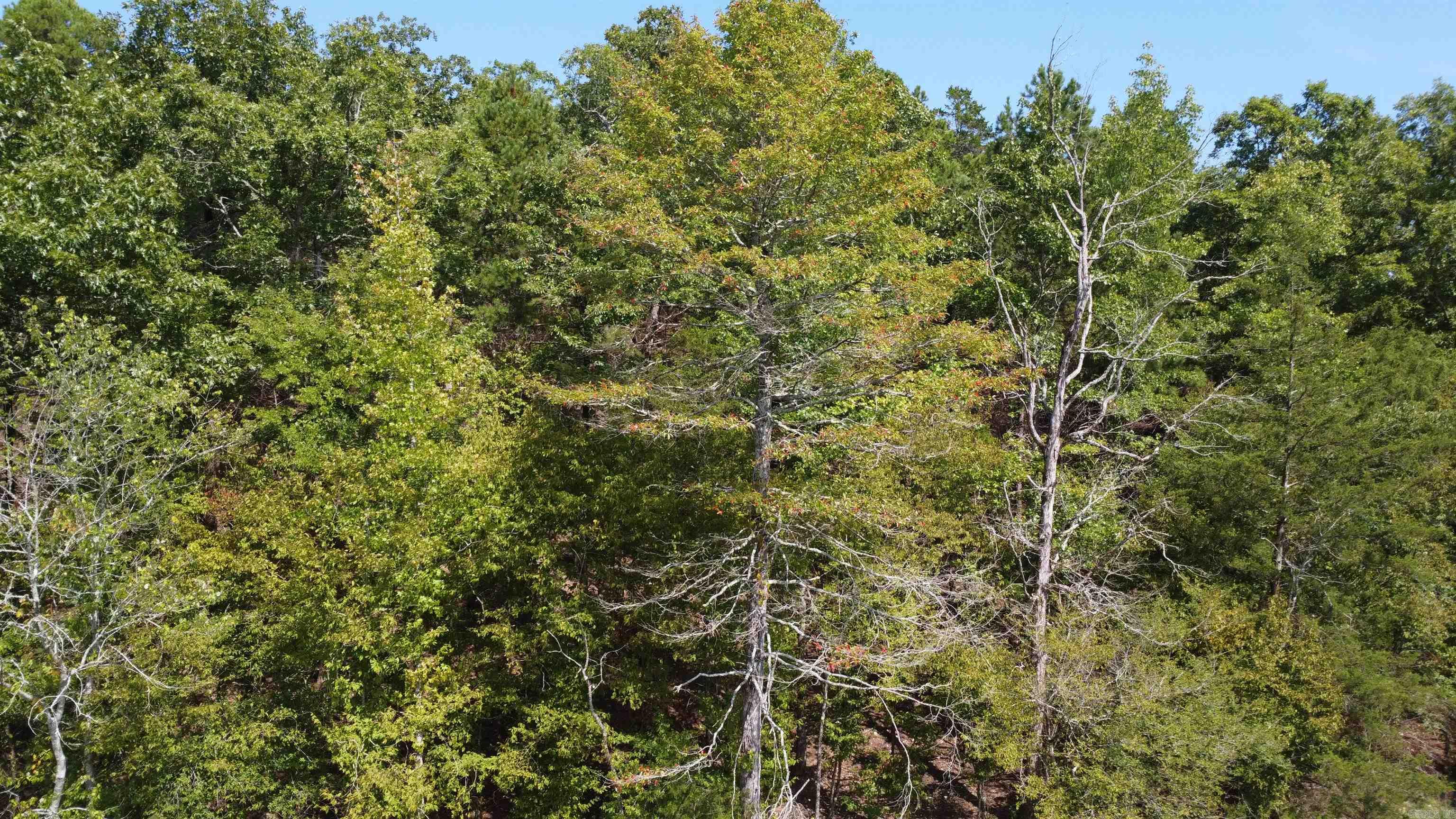 Tract B Lot 15n Reva's Way Property Photo 30