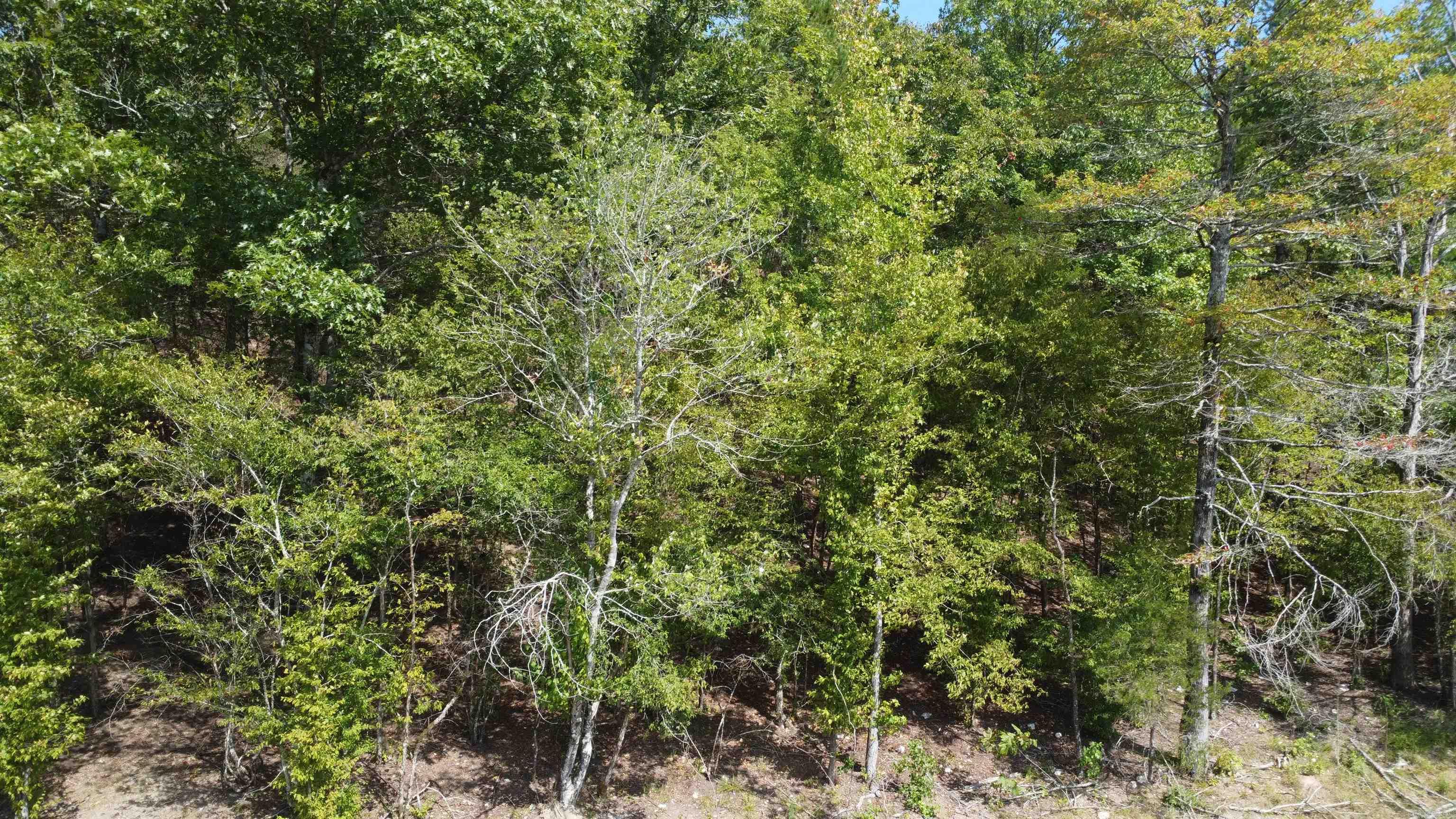 Tract B Lot 15n Reva's Way Property Photo 31