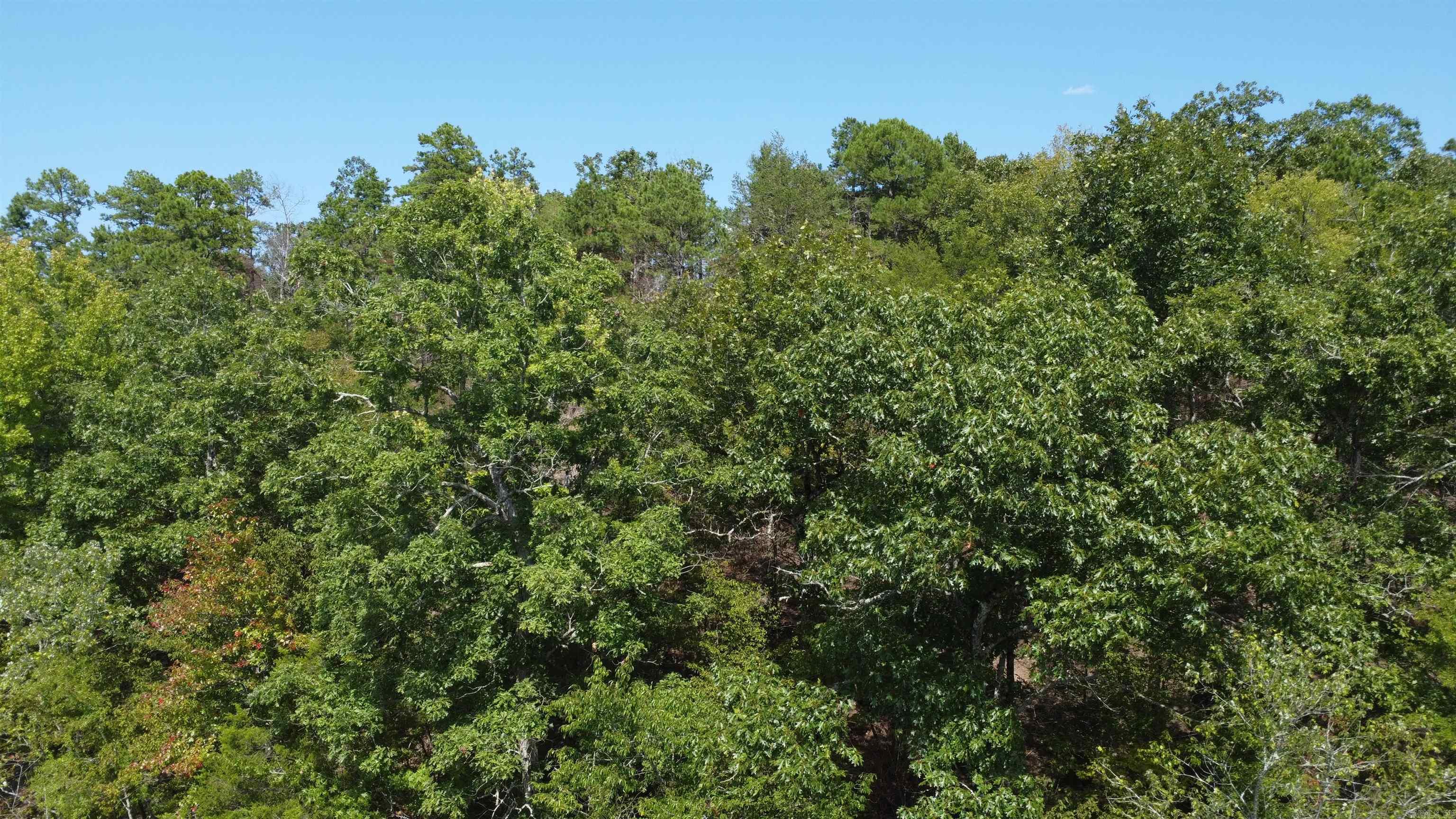 Tract B Lot 15n Reva's Way Property Photo 32