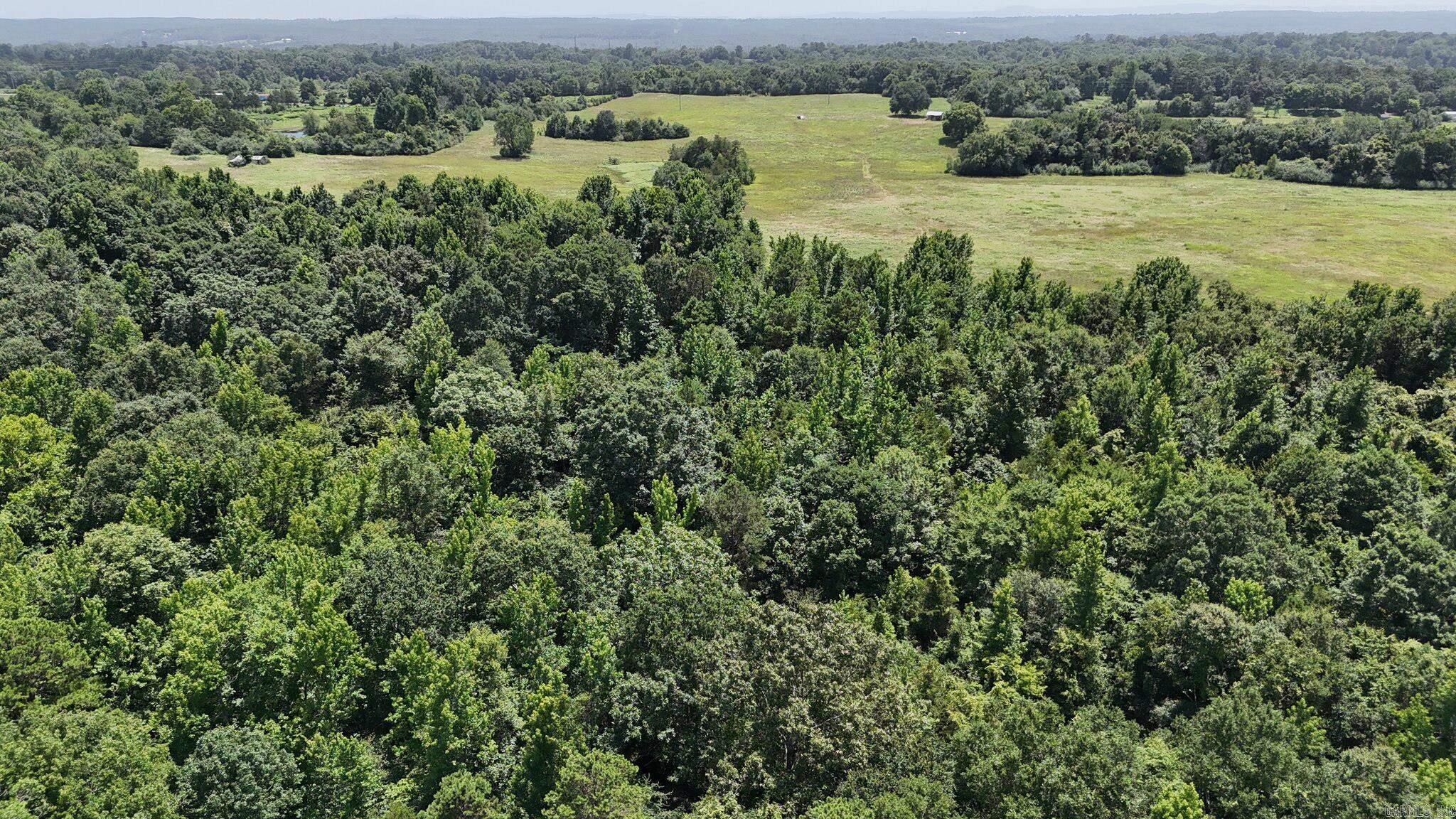Tbd Polk Road 283 Property Photo 4