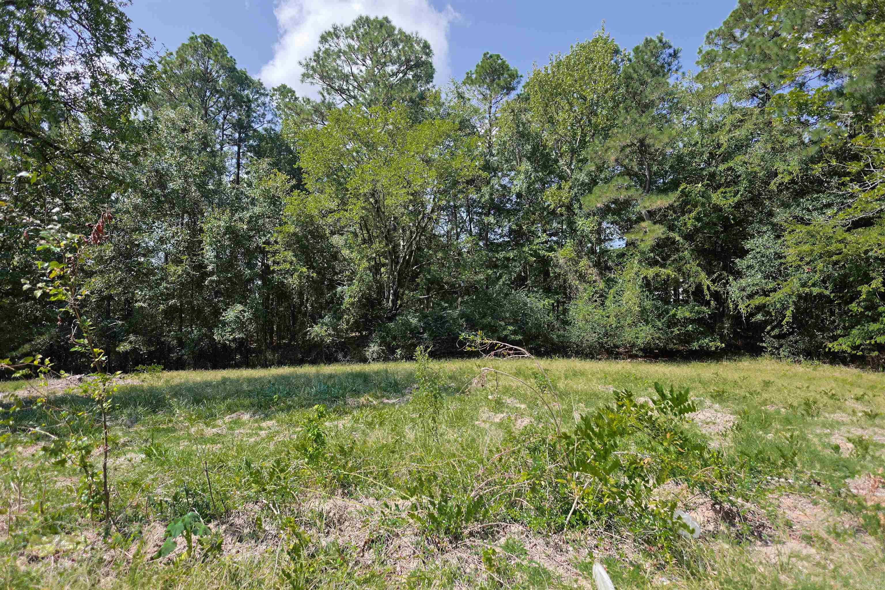 629 S Hill Street Property Photo 23