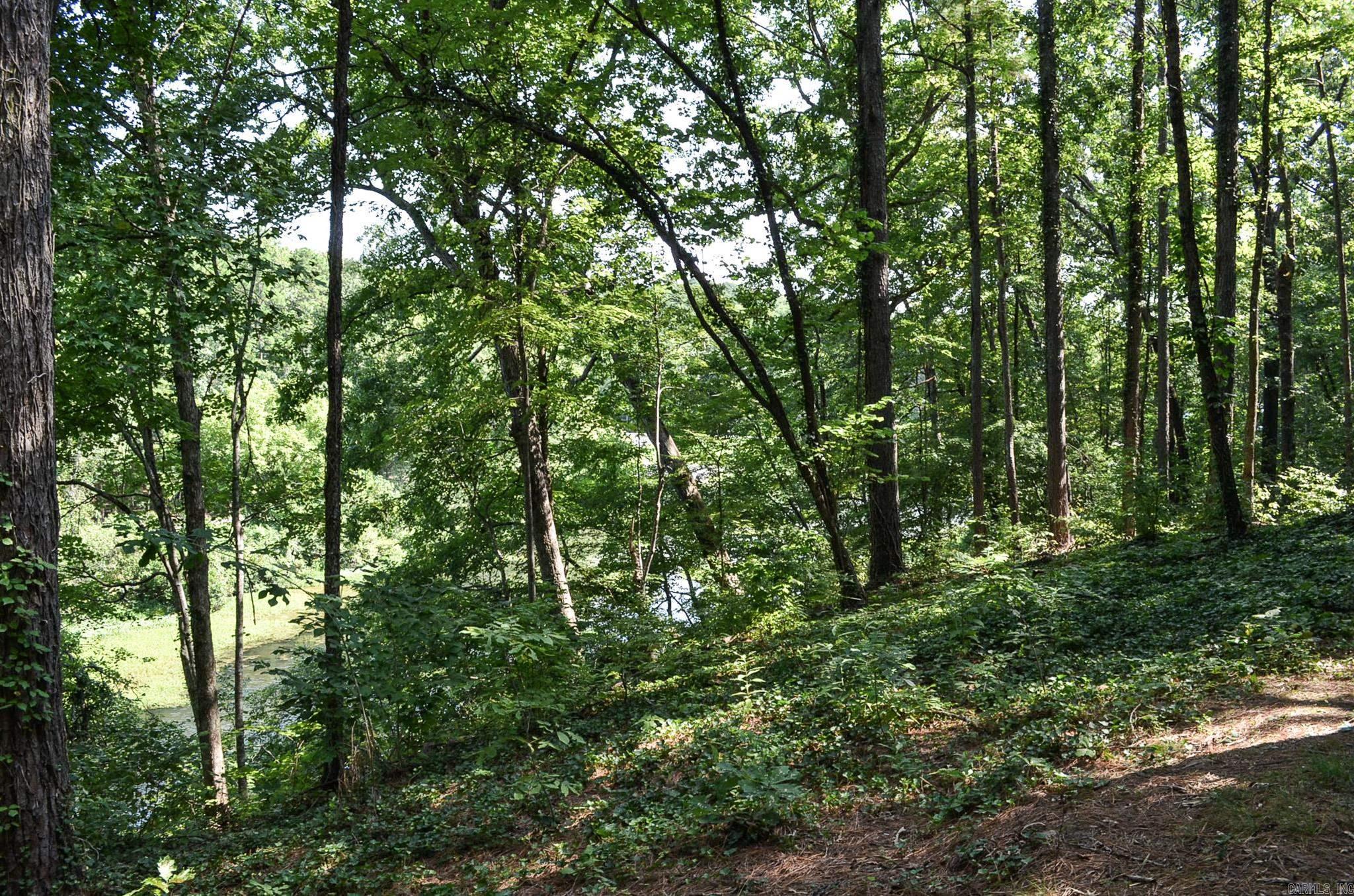 149 La Vista Lane Property Photo 32
