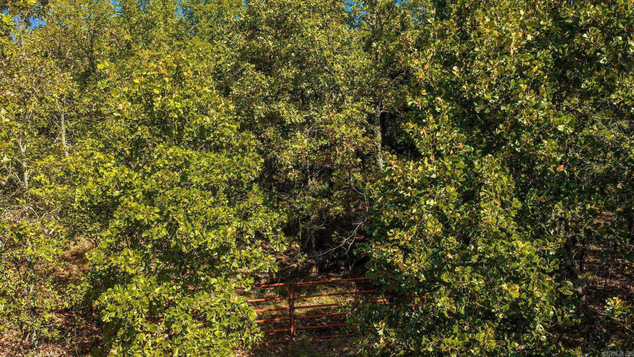 42 Allen Property Photo 18