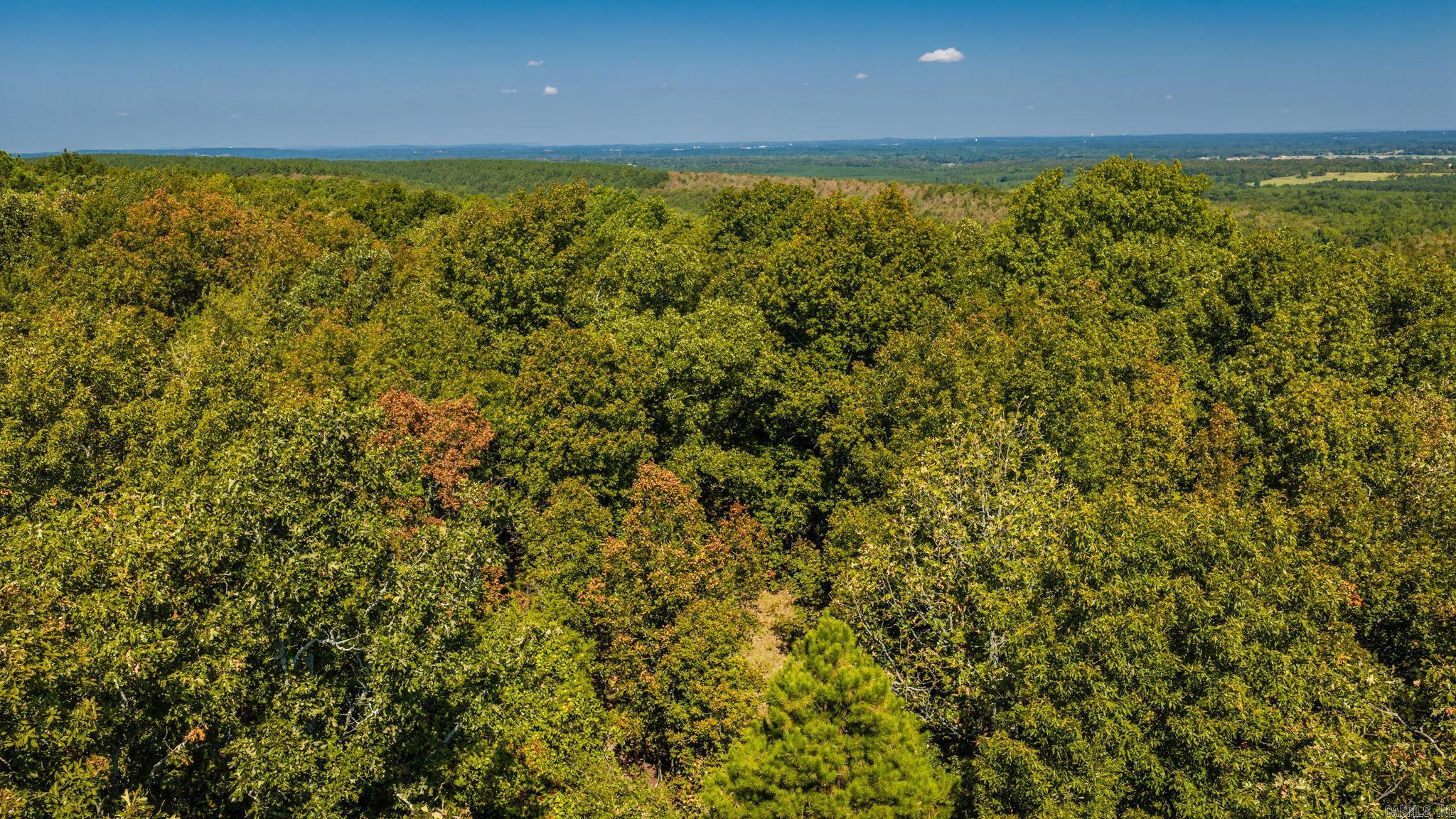 42 Allen Property Photo 19
