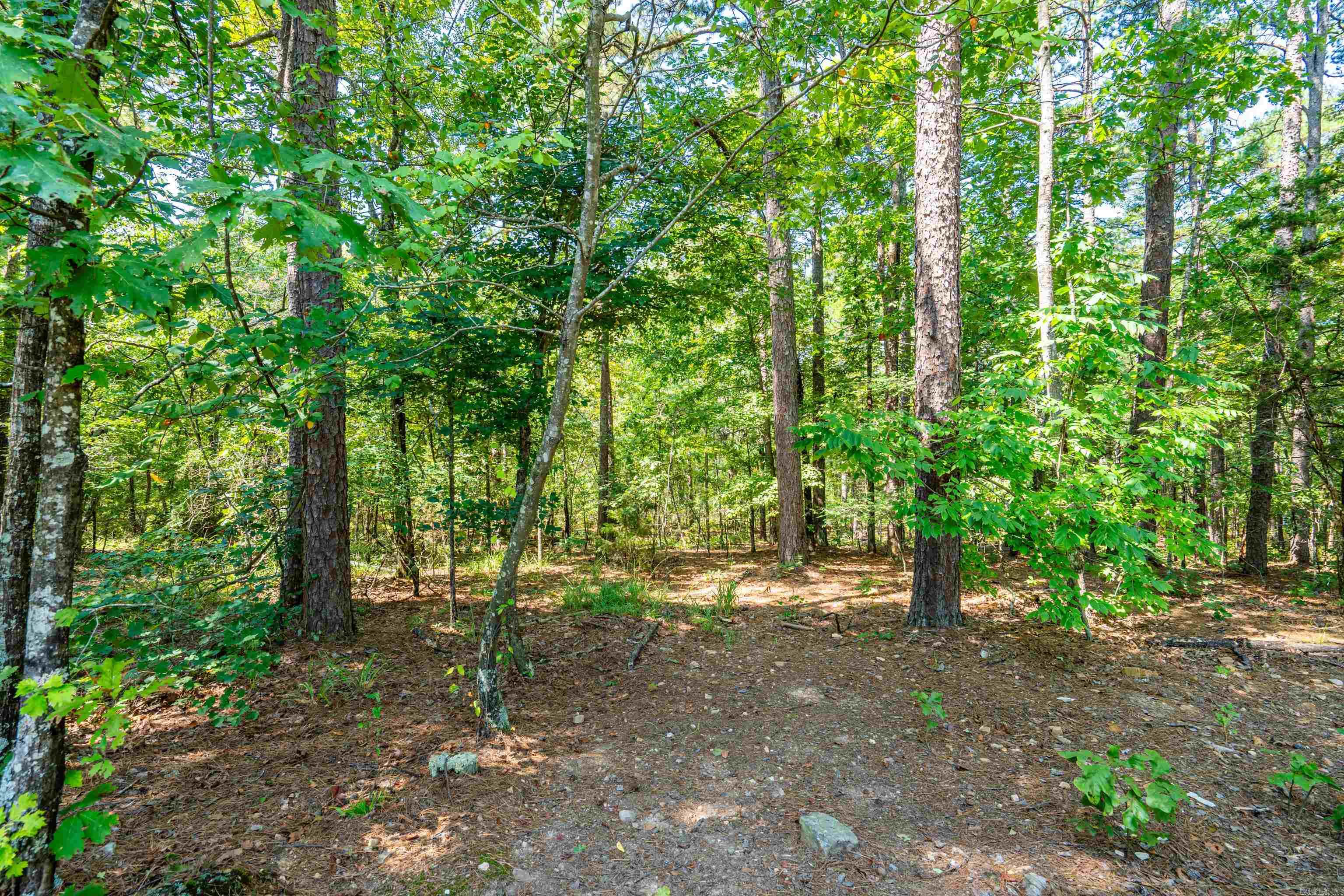 13 Estrella Circle Property Photo 37