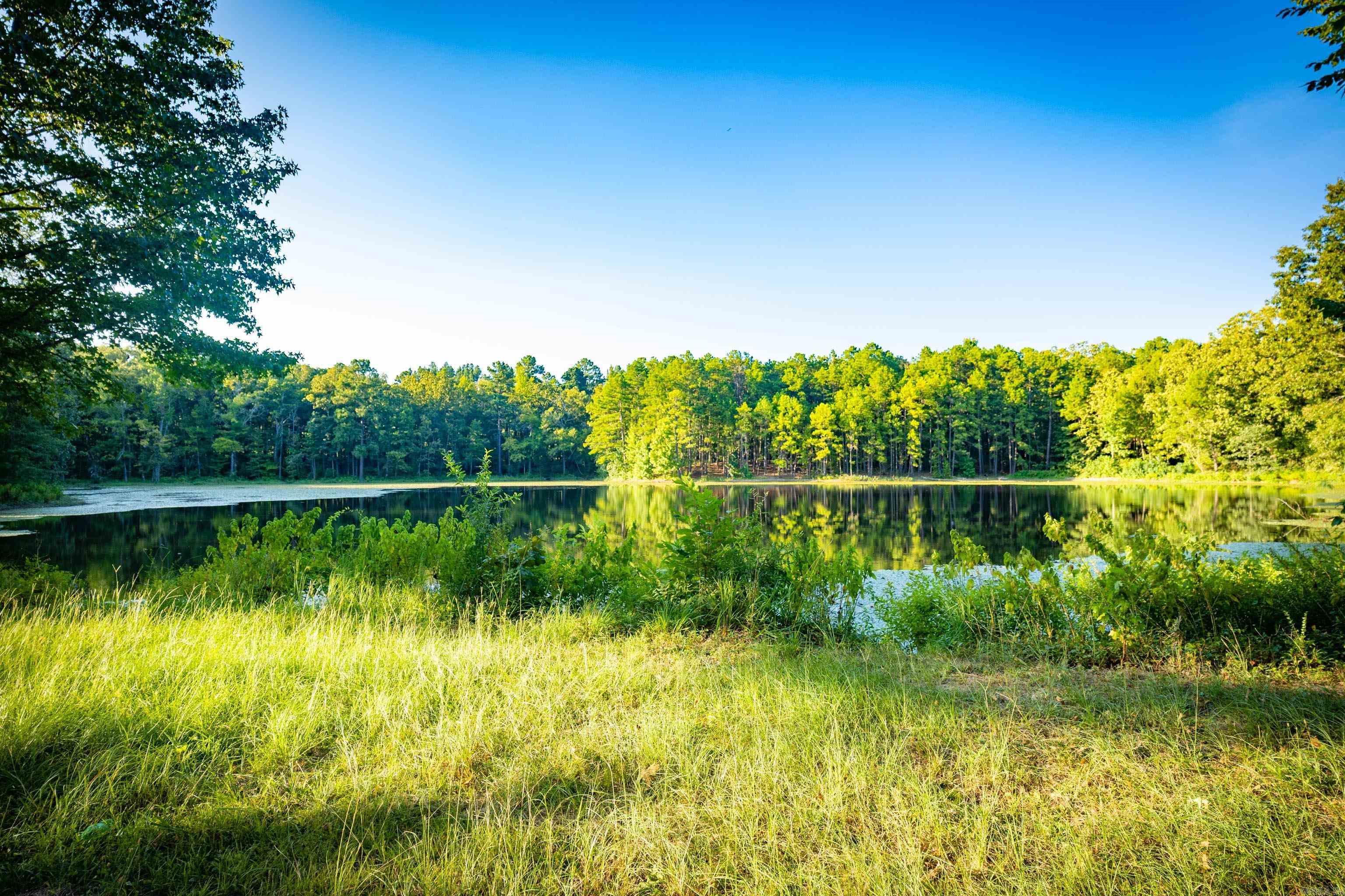 37118 Kanis Road Property Photo 9