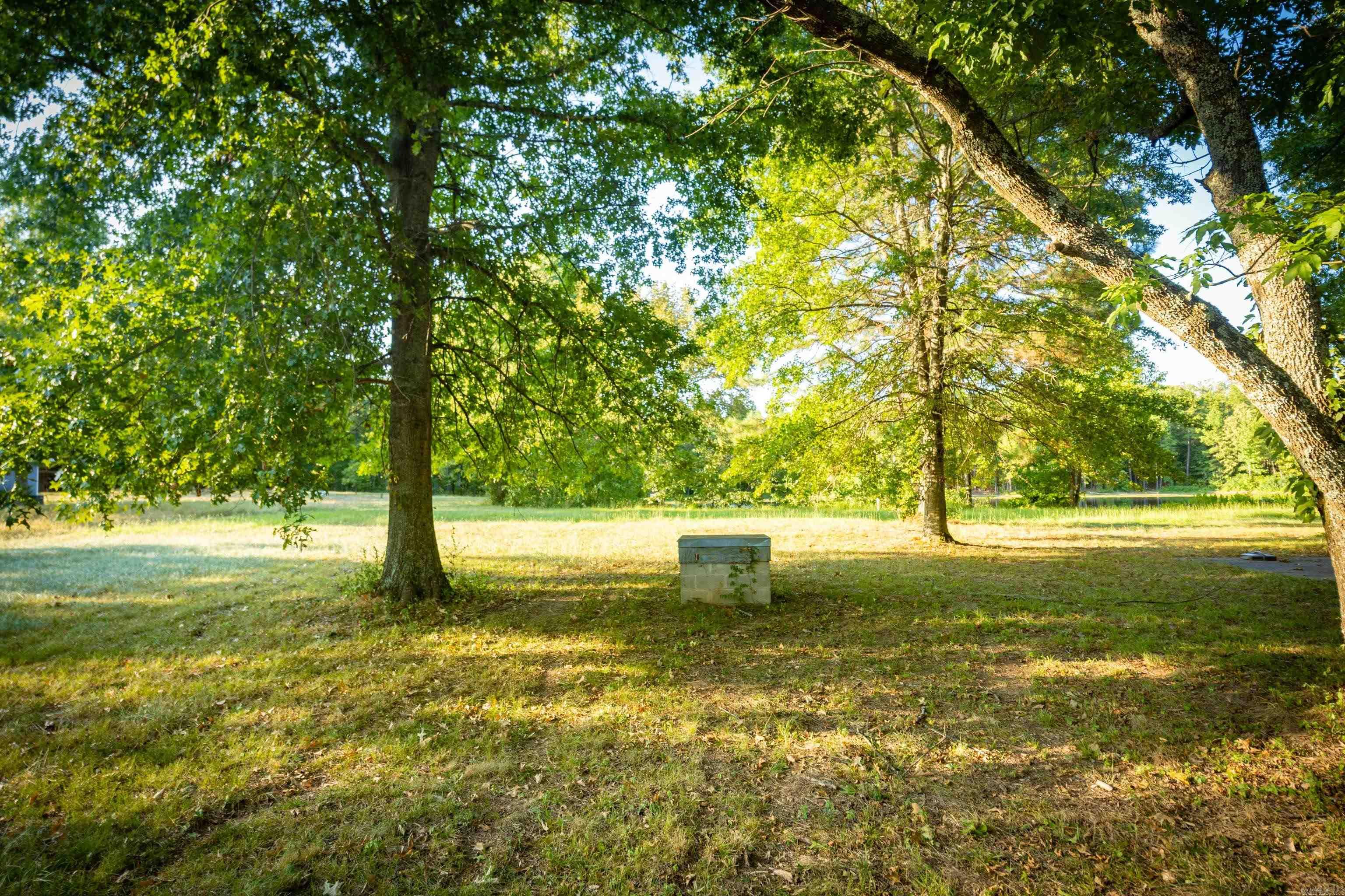 37118 Kanis Road Property Photo 10