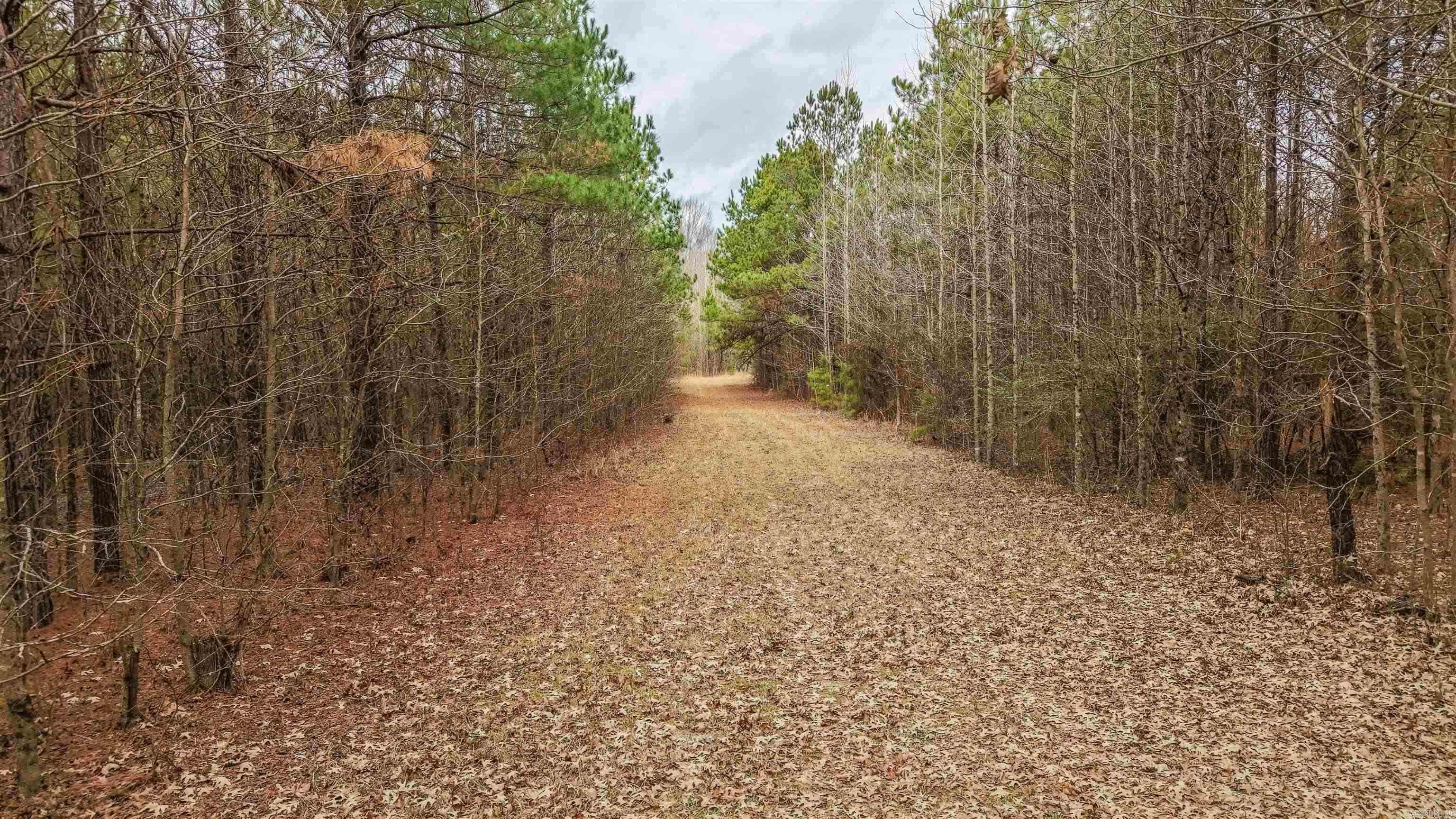 Lot 48 Highway 79 S Property Photo 2