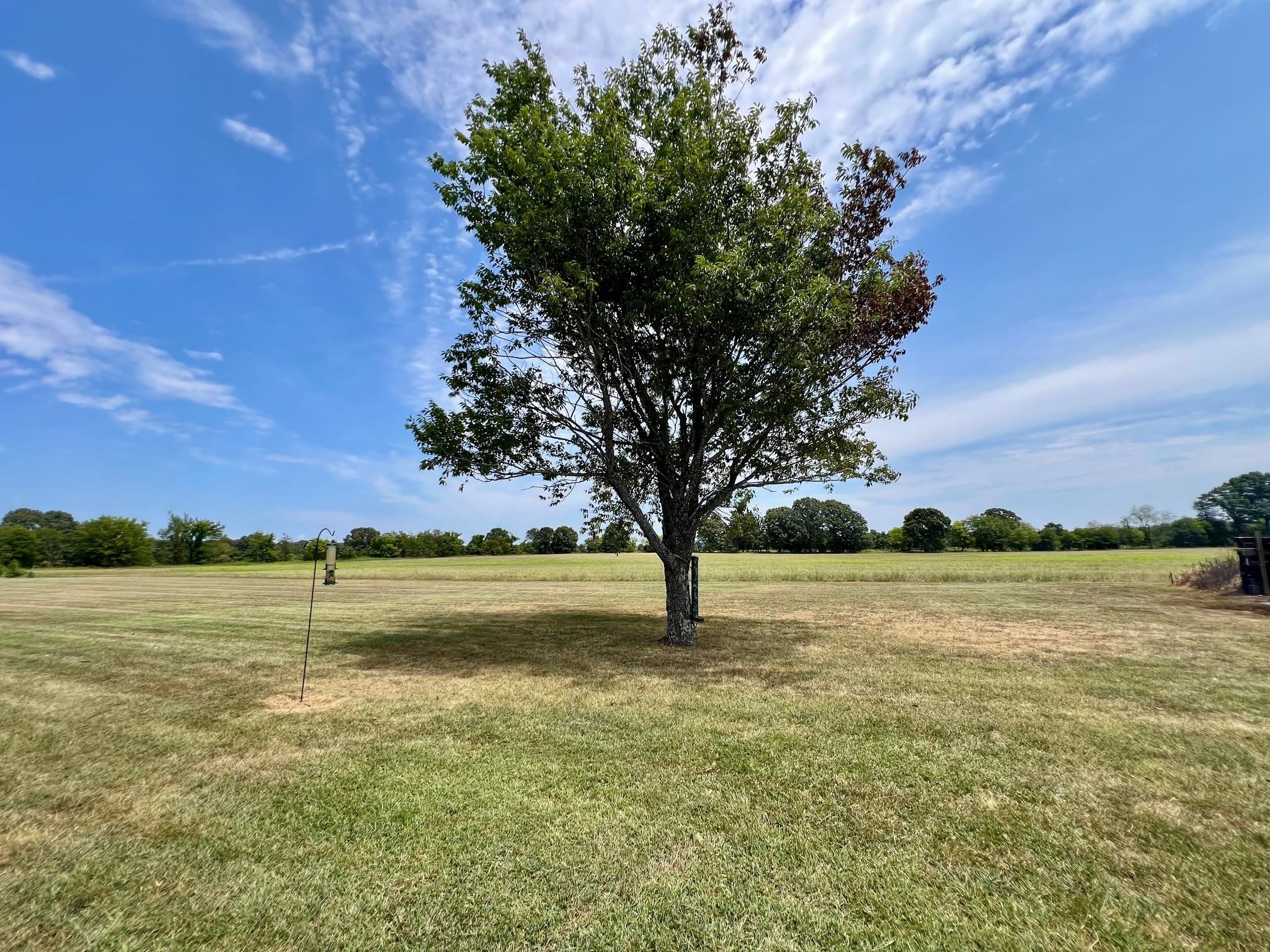 158 Liberty Hill Road Property Photo 34