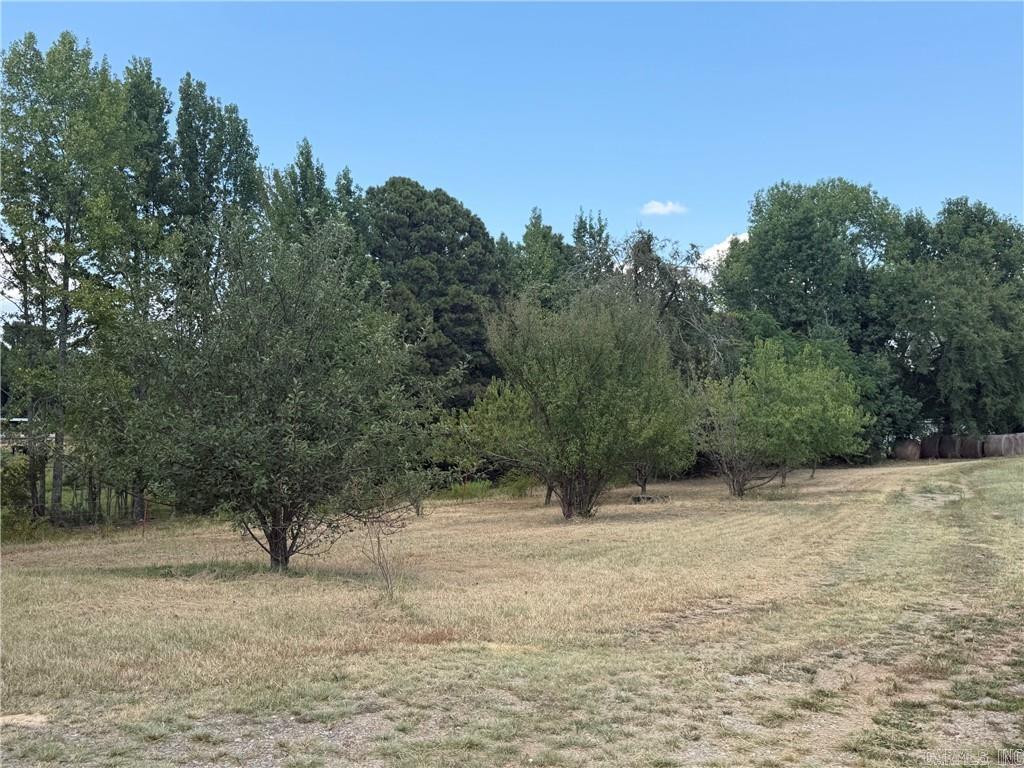 1186 County Road 1780 Property Photo 24