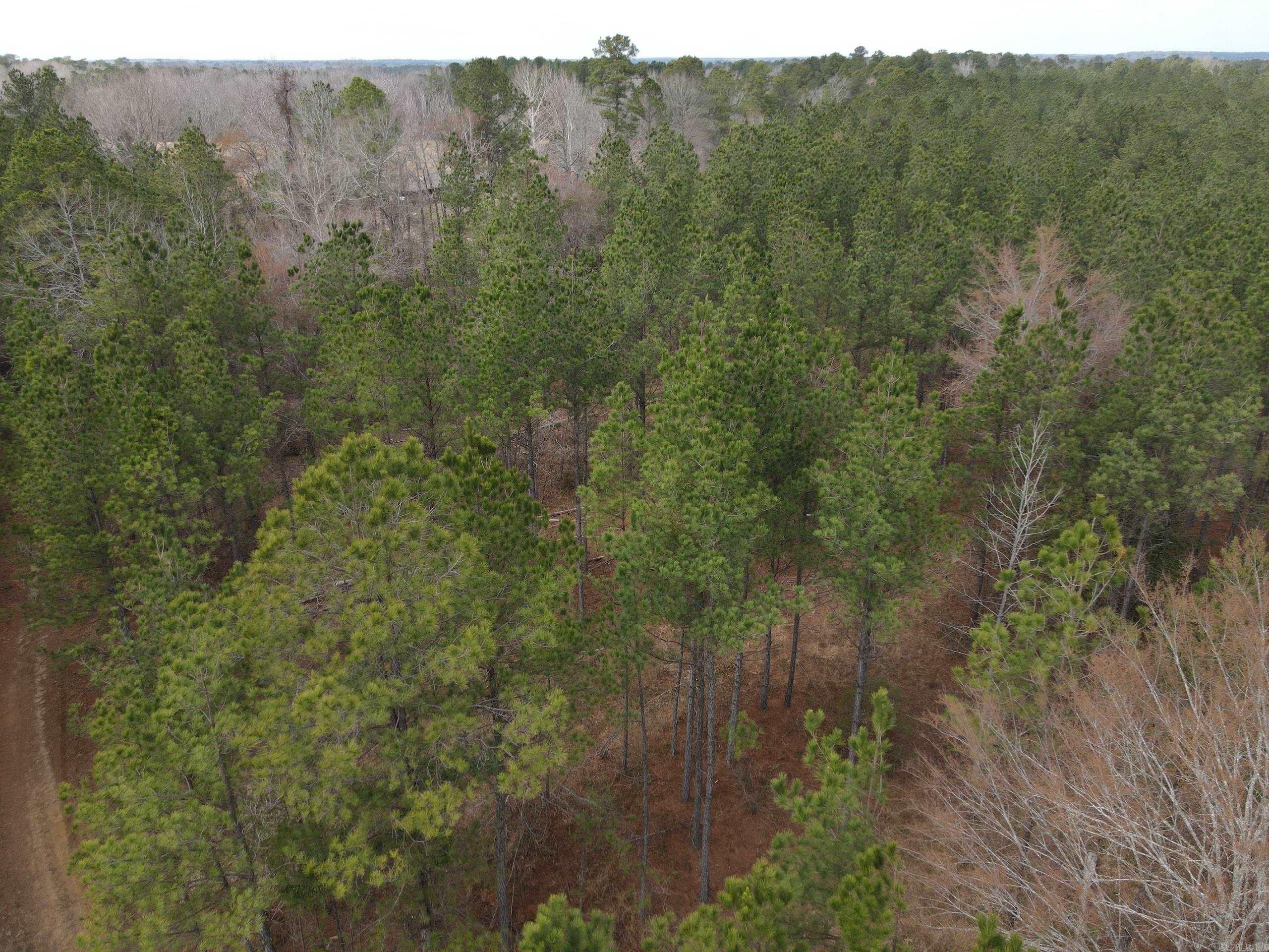 000 Lapile Road Property Photo 2