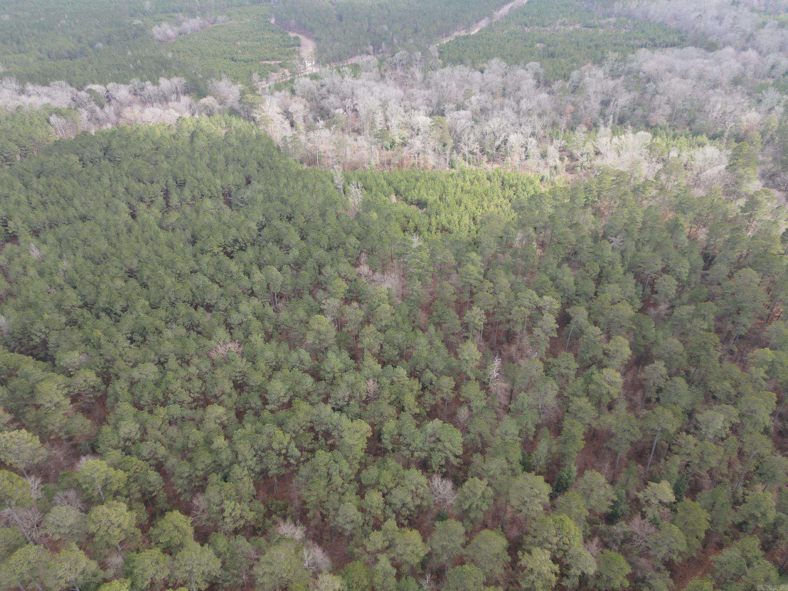 000 Lapile Road Property Photo 13