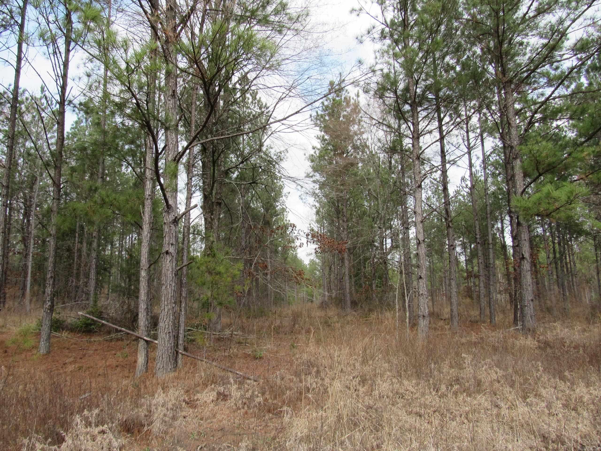 000 Lapile Road Property Photo 22