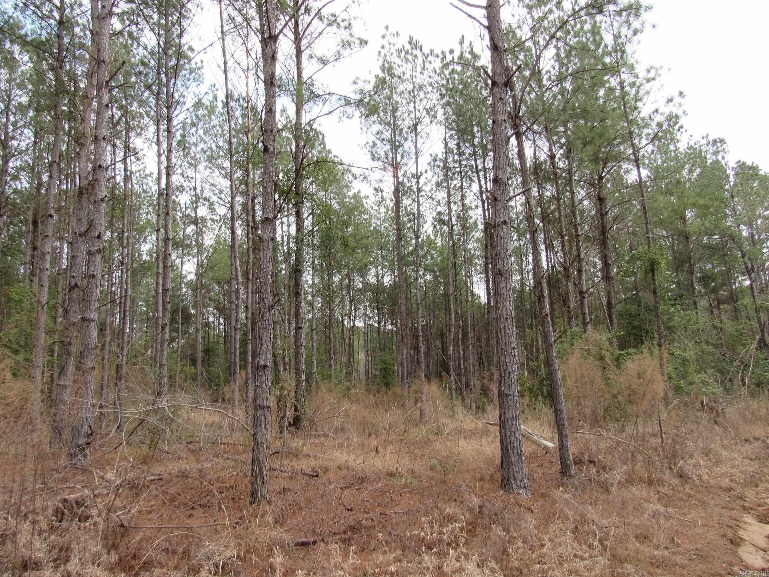 000 Lapile Road Property Photo 31