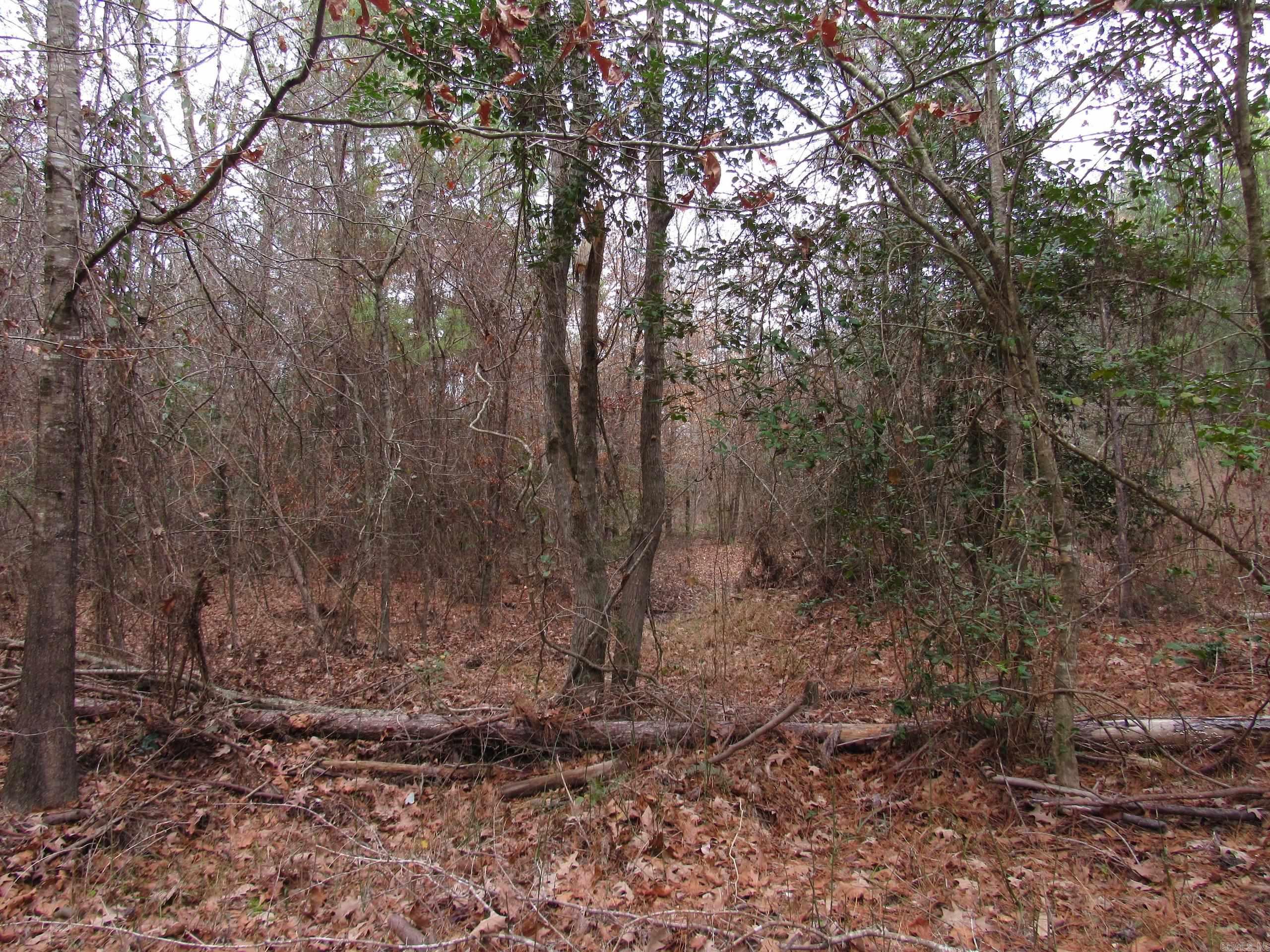 000 Lapile Road Property Photo 34