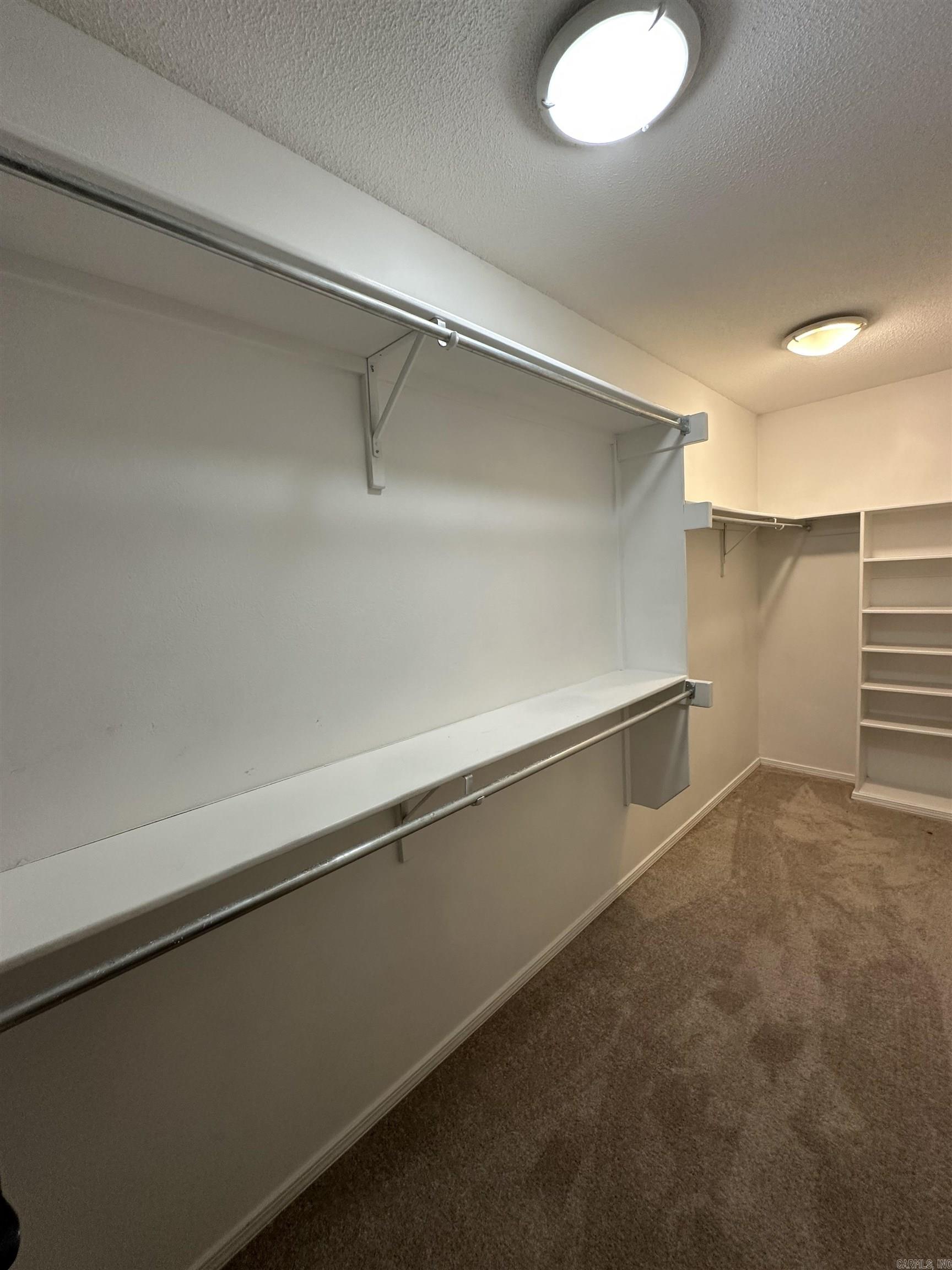 13616 Dynasty Drive Property Photo 28