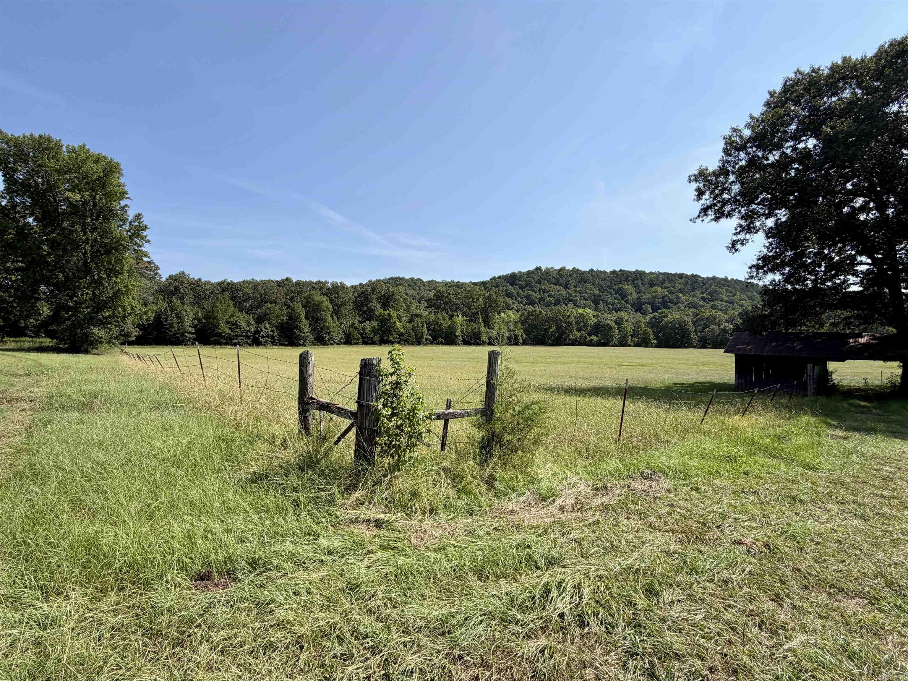 233 County Road 3780 Property Photo 39