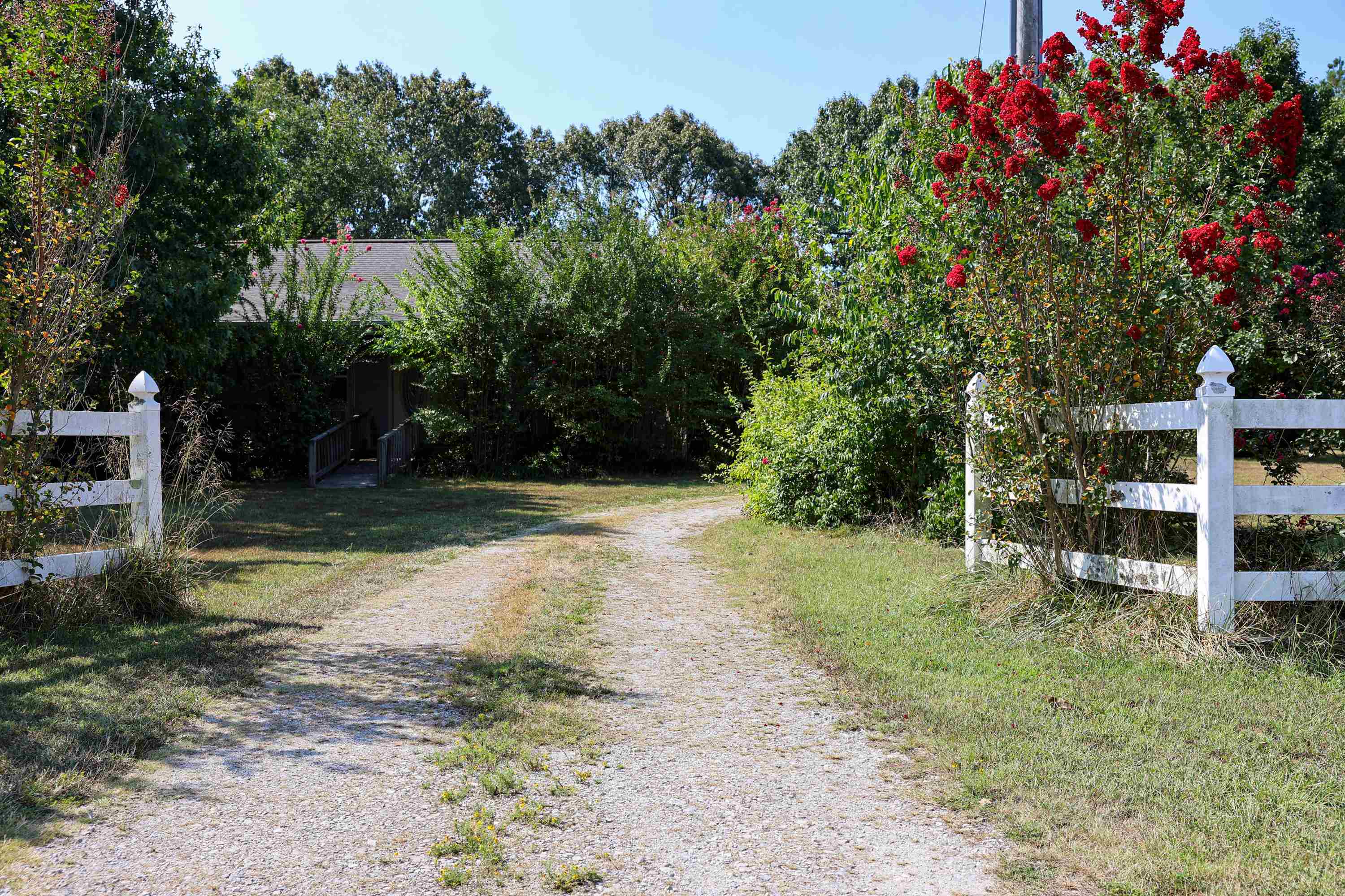 4137 State Highway 289 Property Photo 6