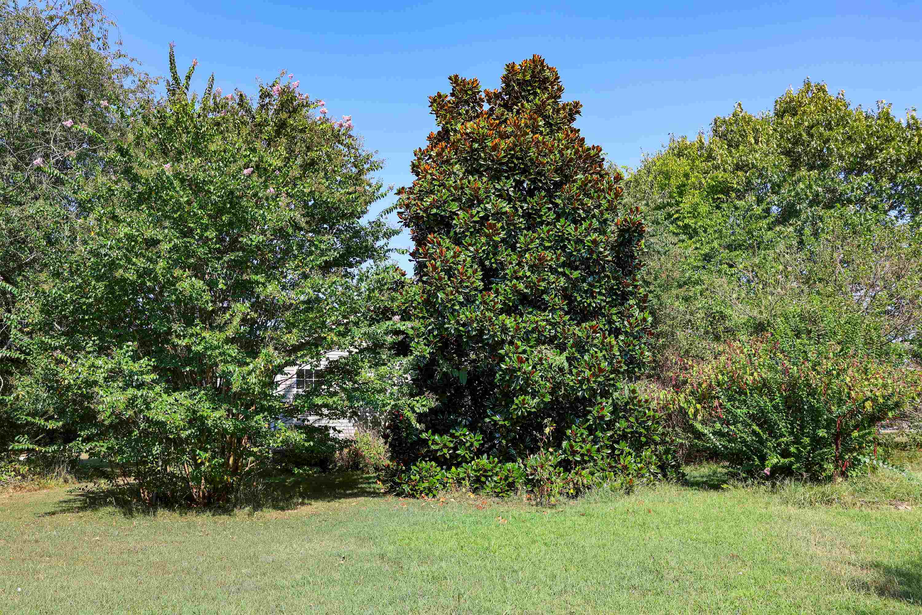 4137 State Highway 289 Property Photo 12