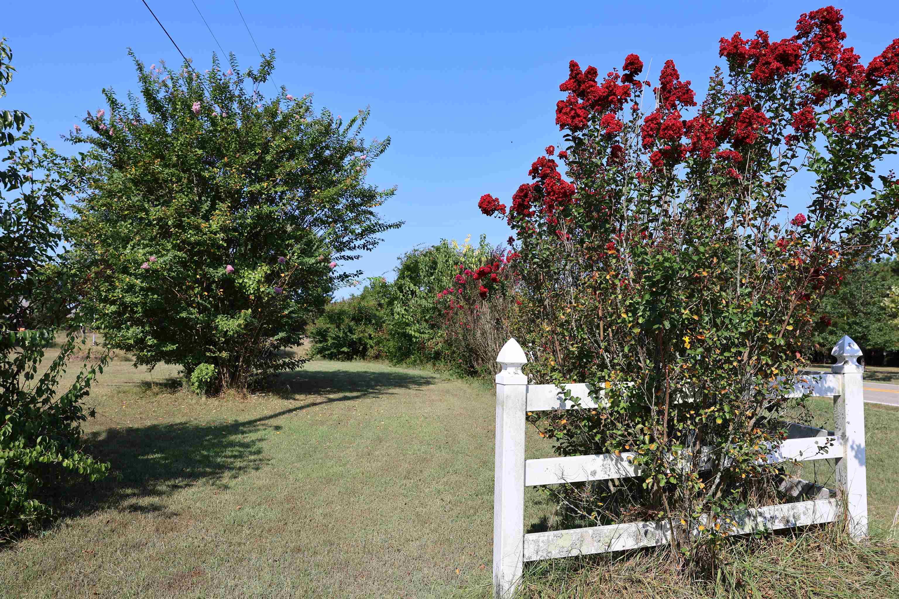 4137 State Highway 289 Property Photo 34