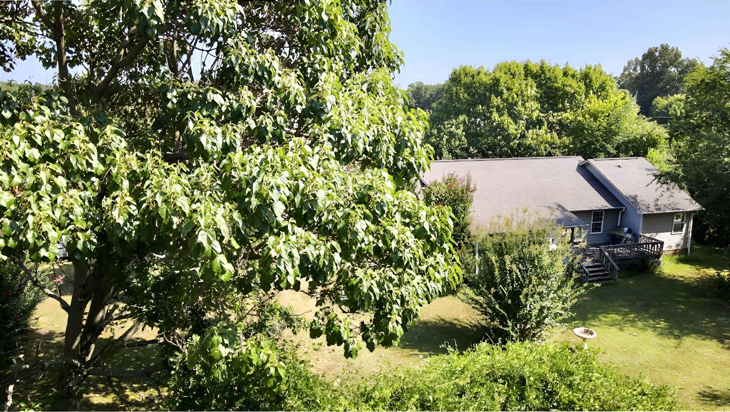4137 State Highway 289 Property Photo 35