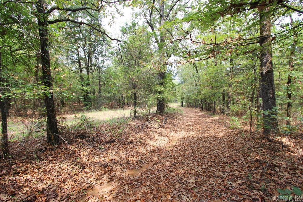 47 Daugherty Hill Road Property Photo 3
