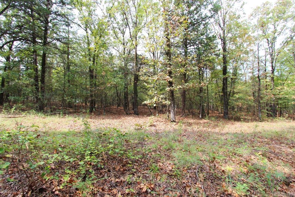 47 Daugherty Hill Road Property Photo 5