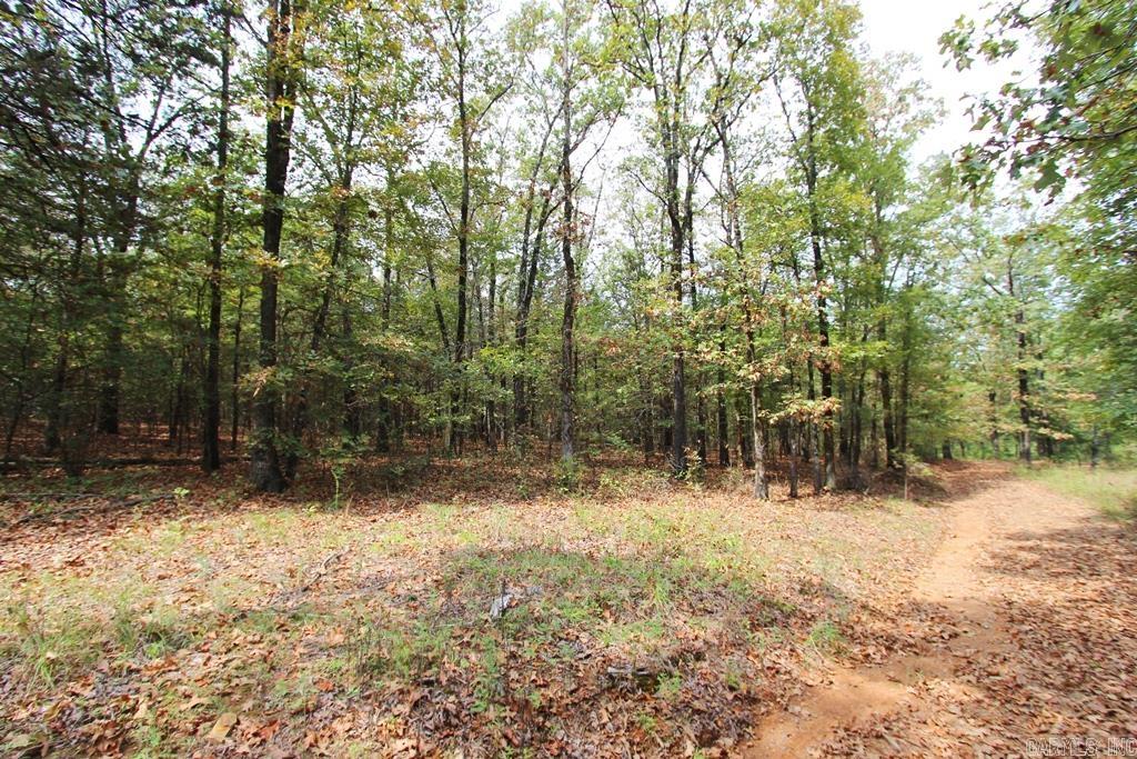 47 Daugherty Hill Road Property Photo 6