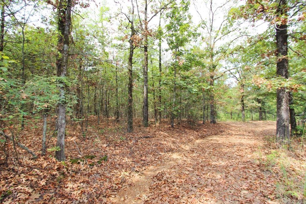 47 Daugherty Hill Road Property Photo 10