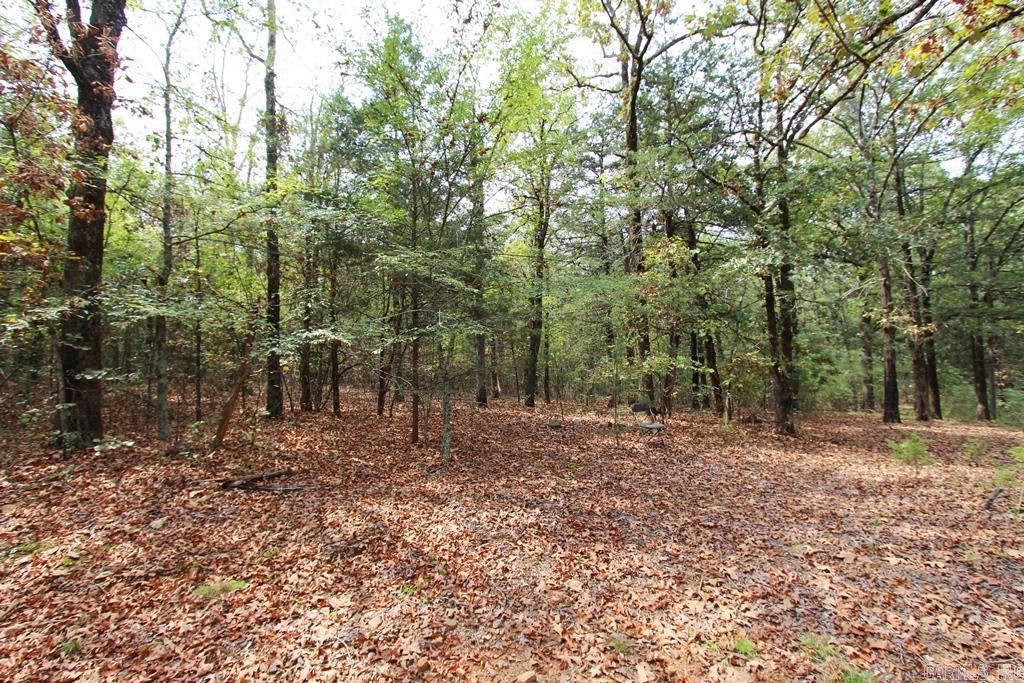 47 Daugherty Hill Road Property Photo 13