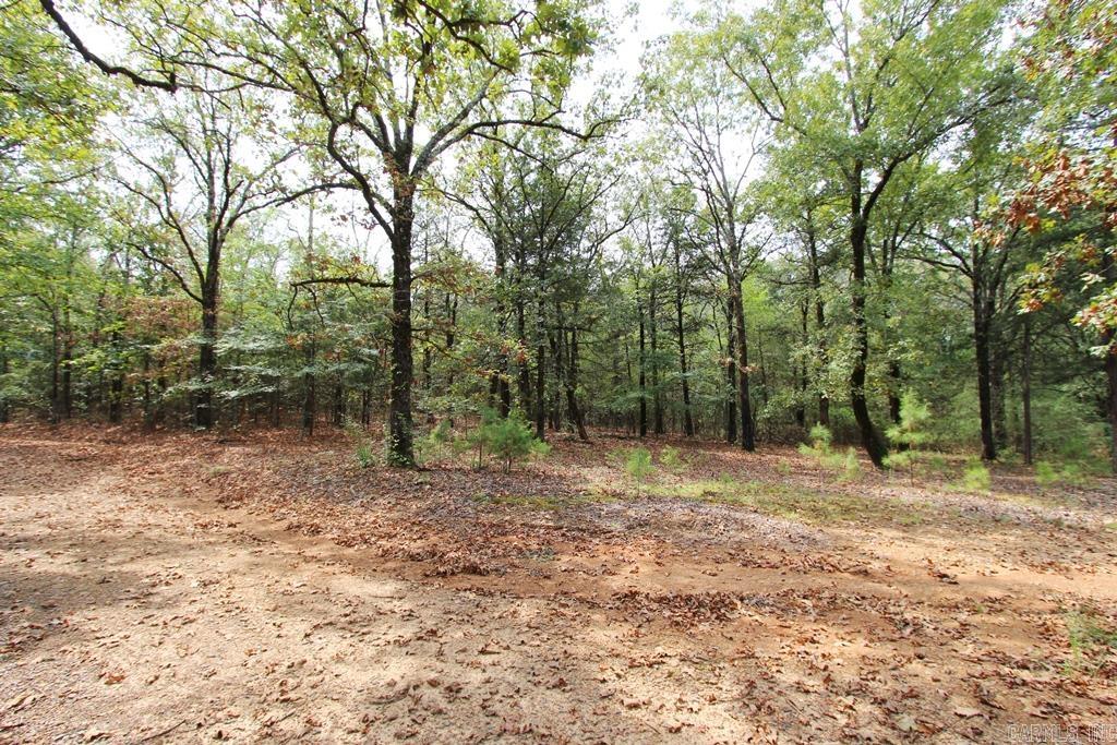 47 Daugherty Hill Road Property Photo 19